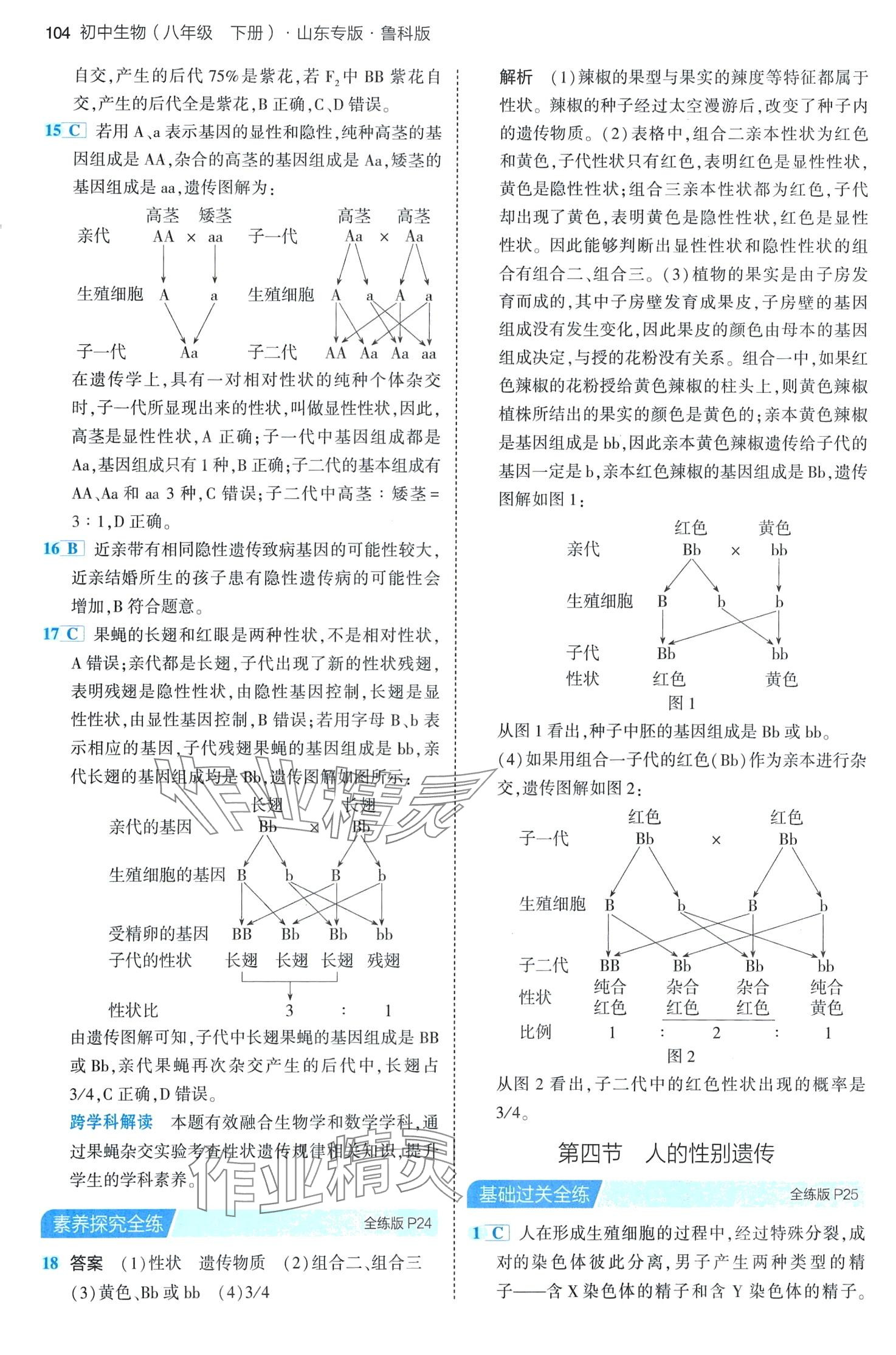 2024年5年中考3年模擬八年級生物下冊魯科版山東專版 第10頁