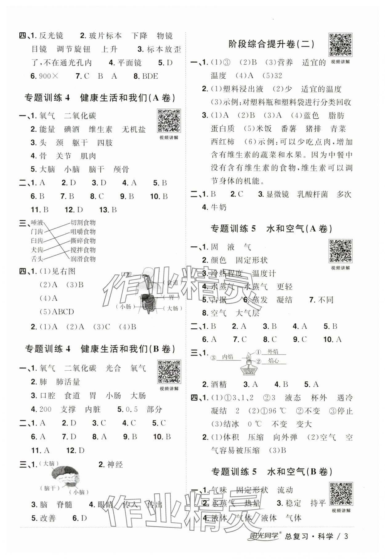 2024年陽光同學小學畢業(yè)升學系統(tǒng)總復習科學 參考答案第3頁