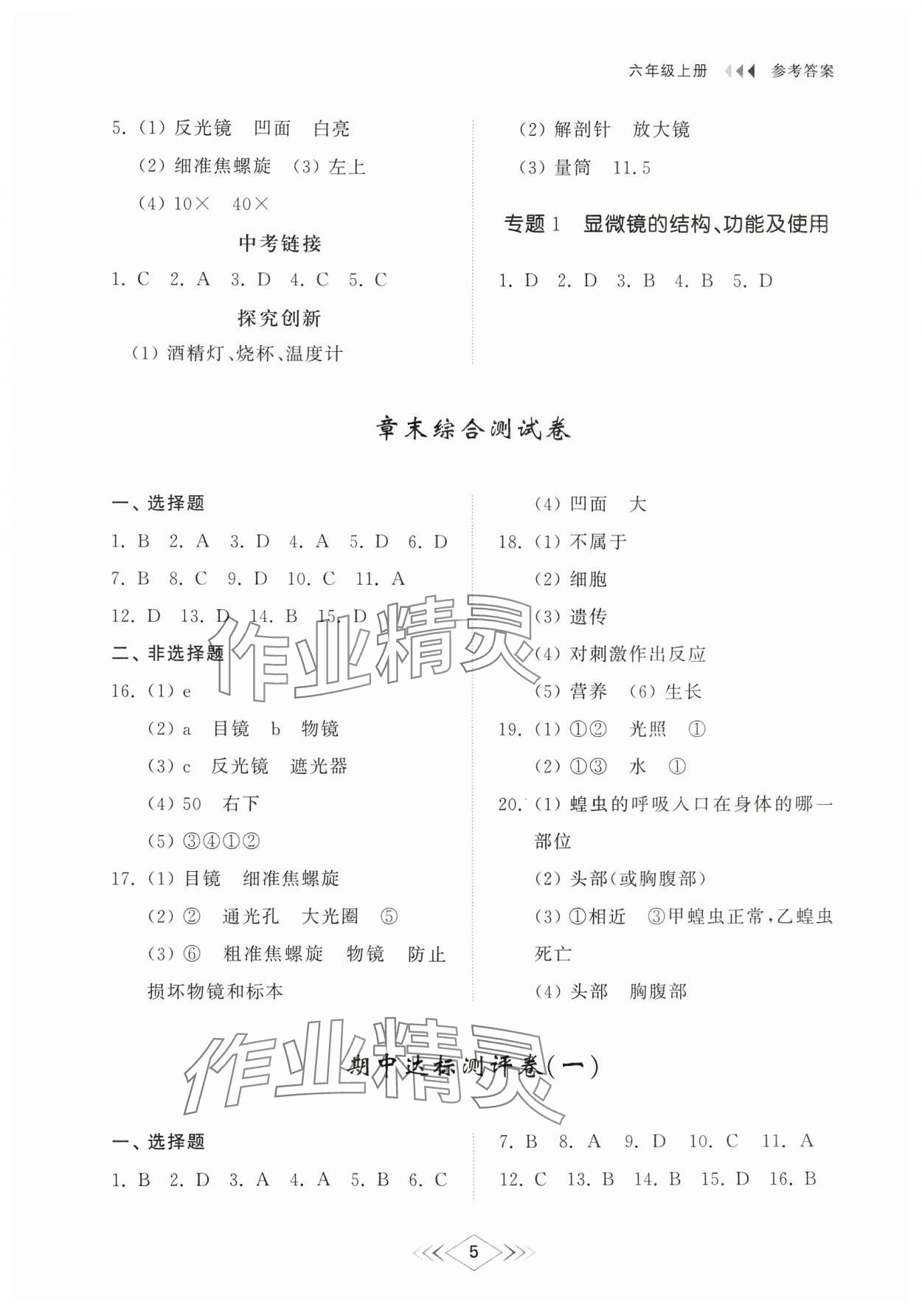 2024年綜合能力訓練六年級生物上冊魯科版54制 參考答案第4頁