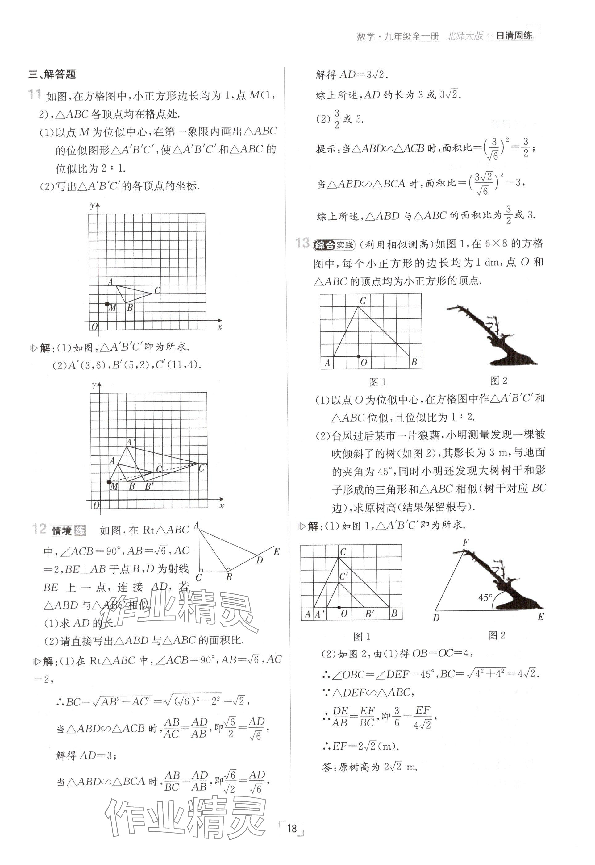 2024年日清周練九年級數(shù)學(xué)全一冊北師大版 參考答案第18頁