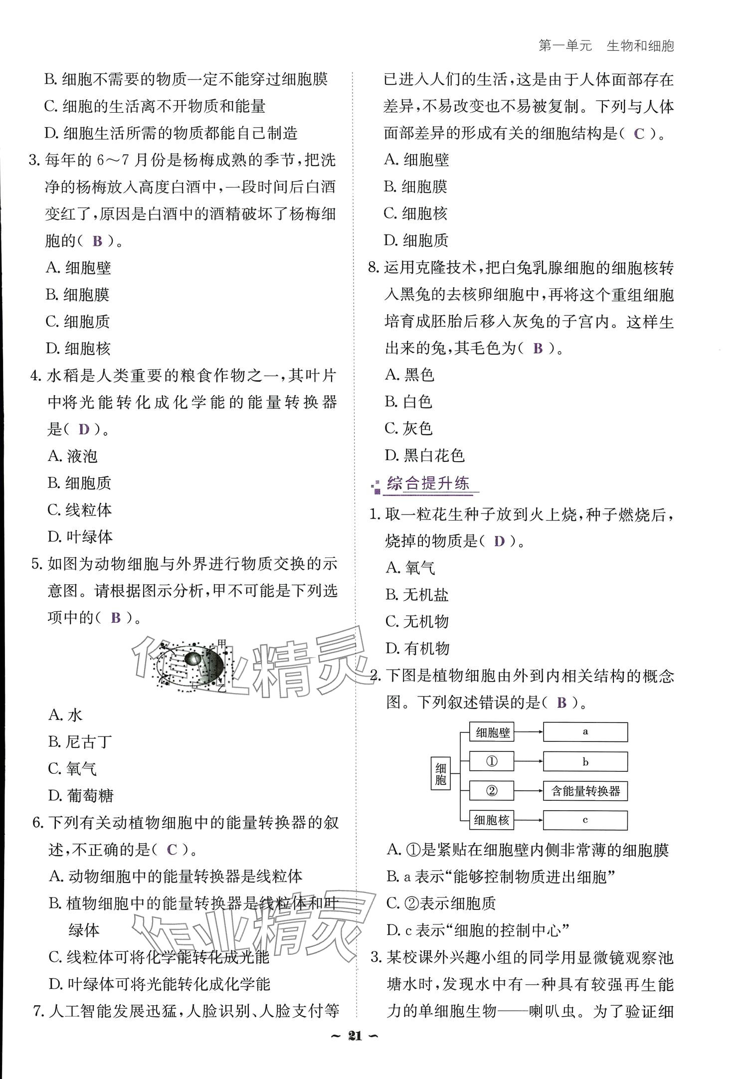 2024云南省标准教辅优佳学案七年级生物上册 参考答案第21页