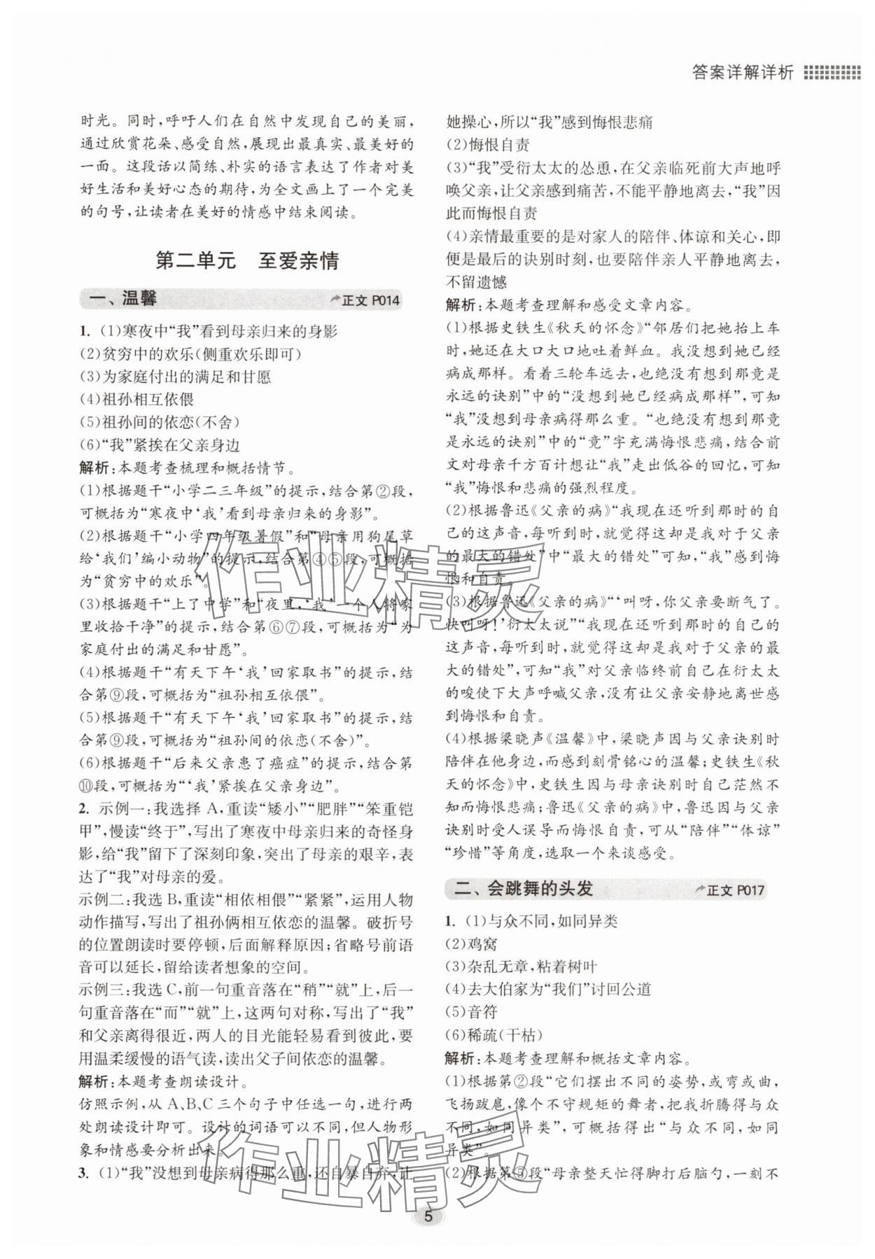 2025年初中现代文阅读专题集训七年级语文人教版&nbsp;第5页
