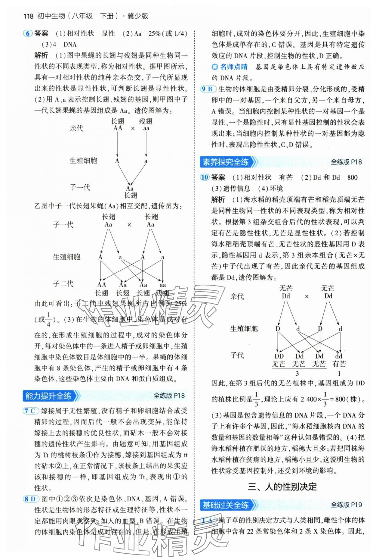 2025年5年中考3年模拟八年级生物下册冀少版 参考答案第8页