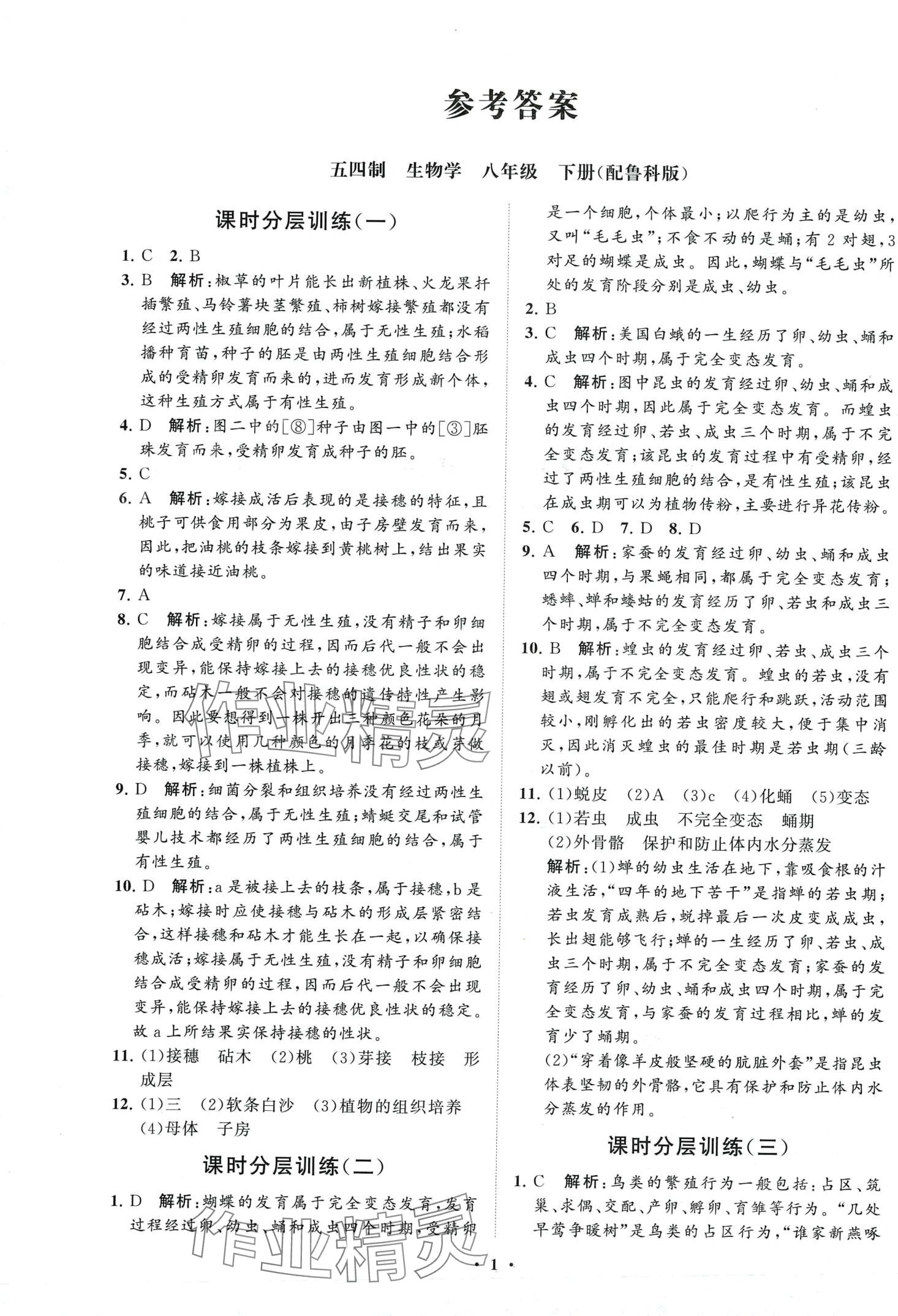 2024年同步练习册分层卷八年级生物下册鲁科版五四制 第1页