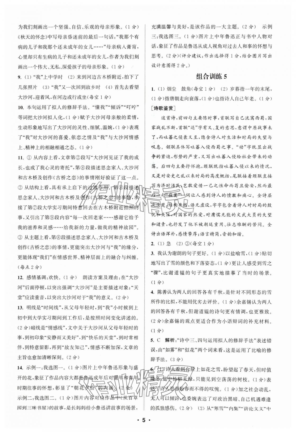 2024年通城学典组合训练七年级语文人教版苏州专版 参考答案第5页