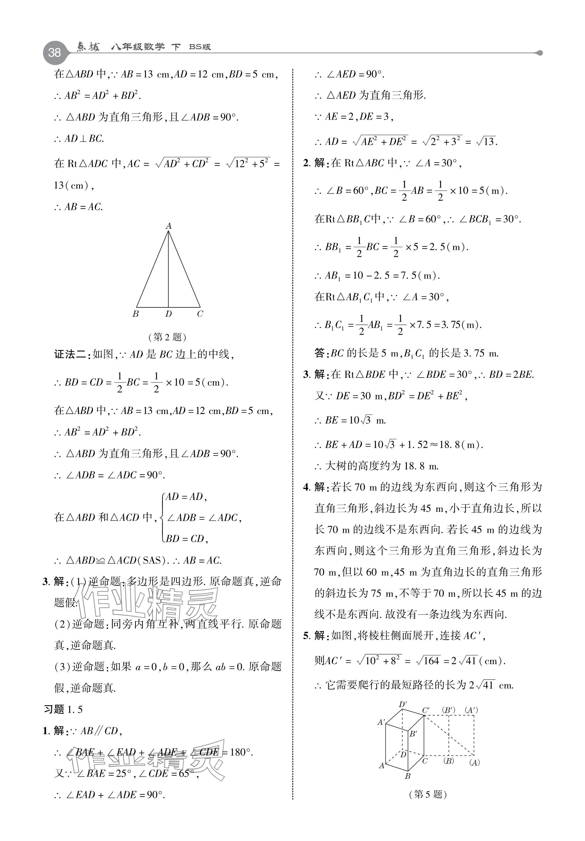 2024年教材课本八年级数学下册北师大版 参考答案第5页