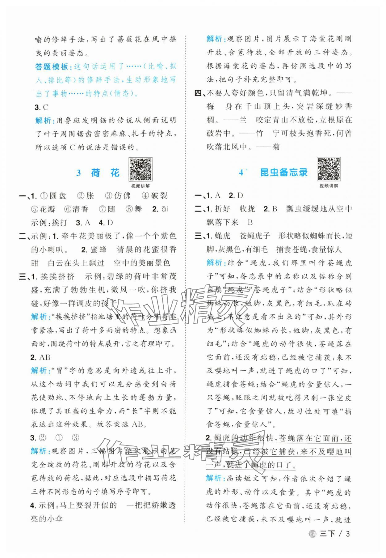 2024年陽(yáng)光同學(xué)課時(shí)優(yōu)化作業(yè)三年級(jí)語(yǔ)文下冊(cè)人教版五四制 參考答案第3頁(yè)