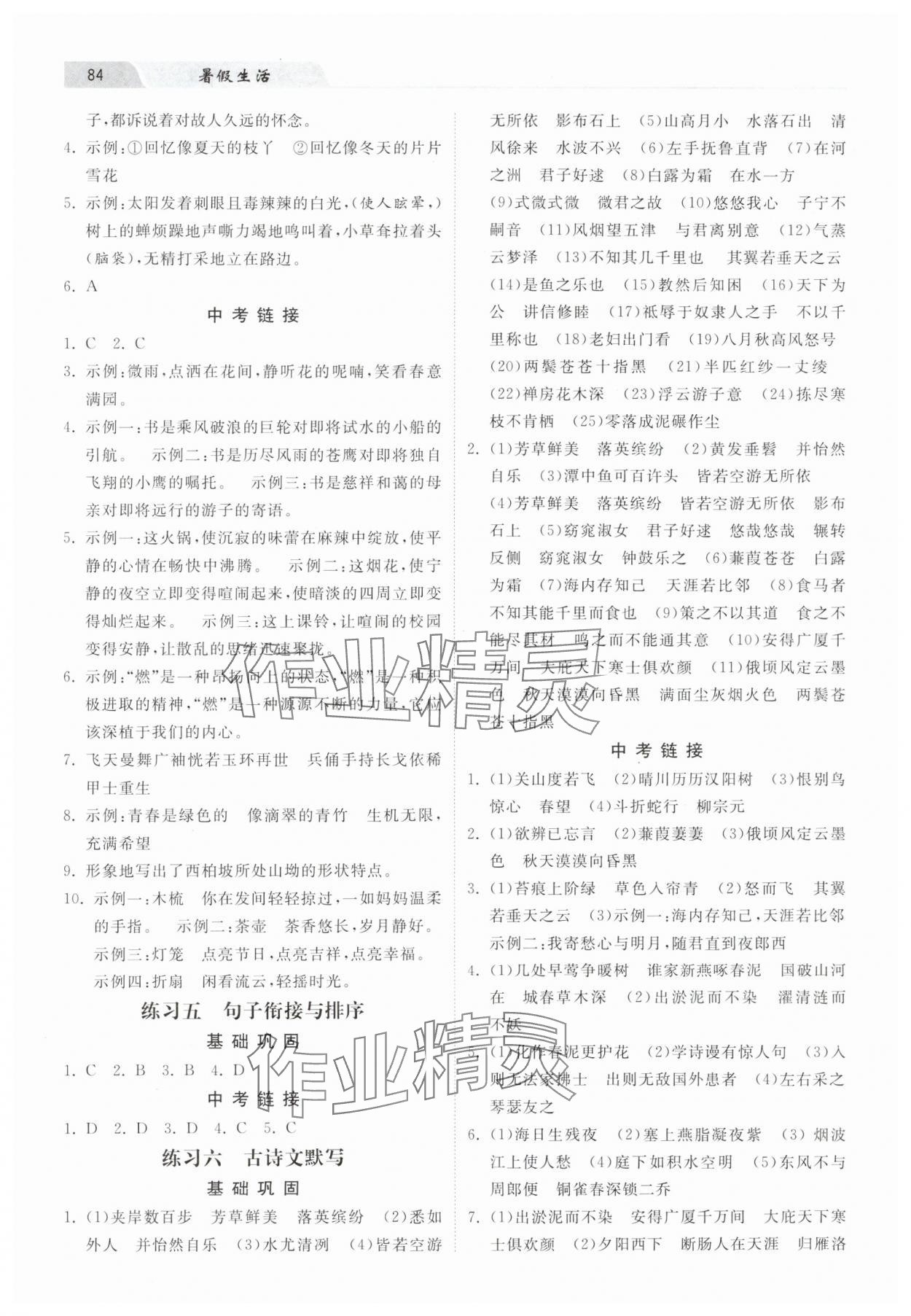 2025年暑假生活河北美术出版社八年级语文 第2页