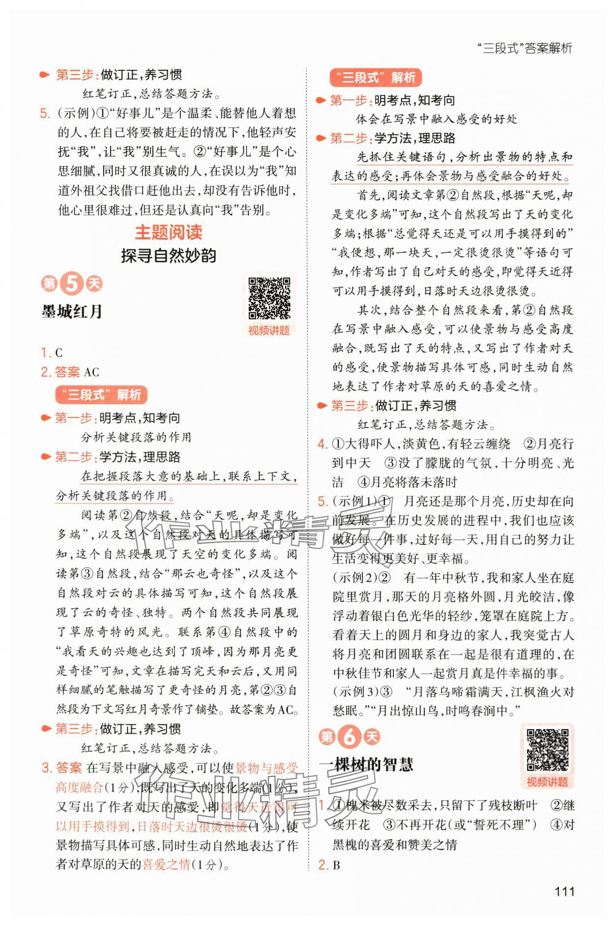 2025年一本小學語文暑假閱讀五年級人教版 第5頁