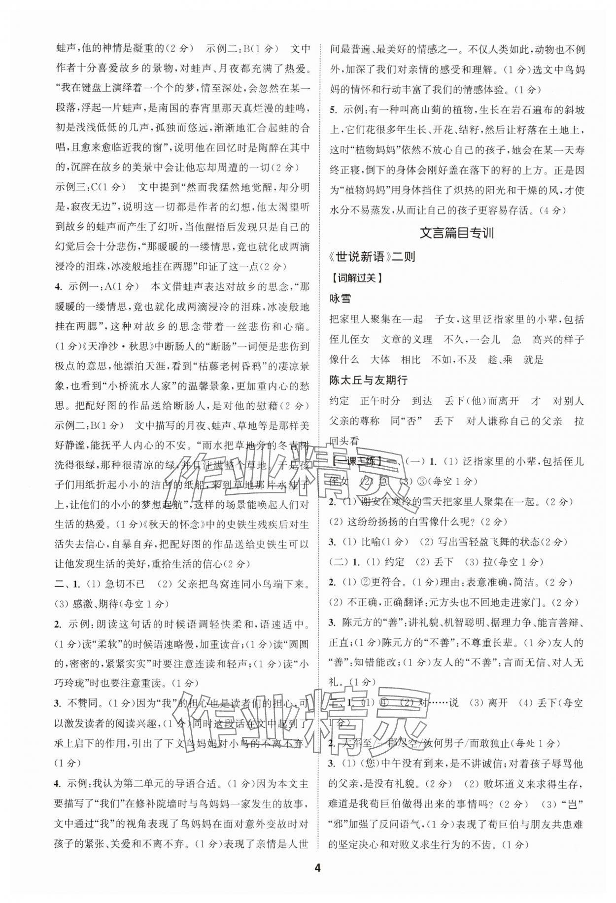 2025年拔尖特訓七年級語文上冊人教版 第4頁
