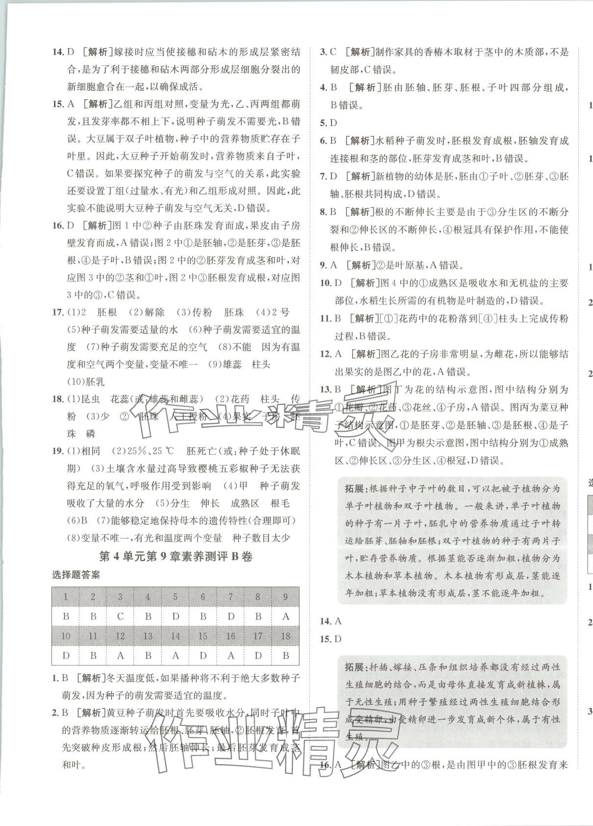 2025年海淀單元測試AB卷七年級生物下冊蘇教版 第5頁