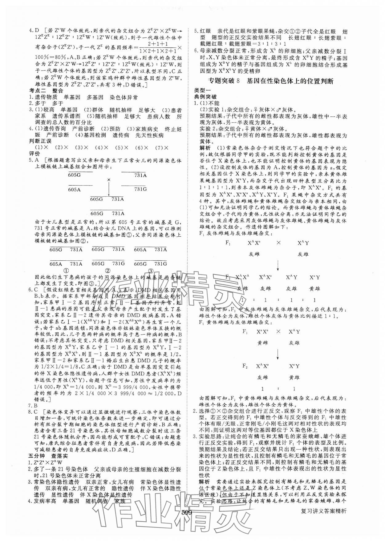 2025年步步高大一輪復(fù)習(xí)講義生物人教版 第23頁