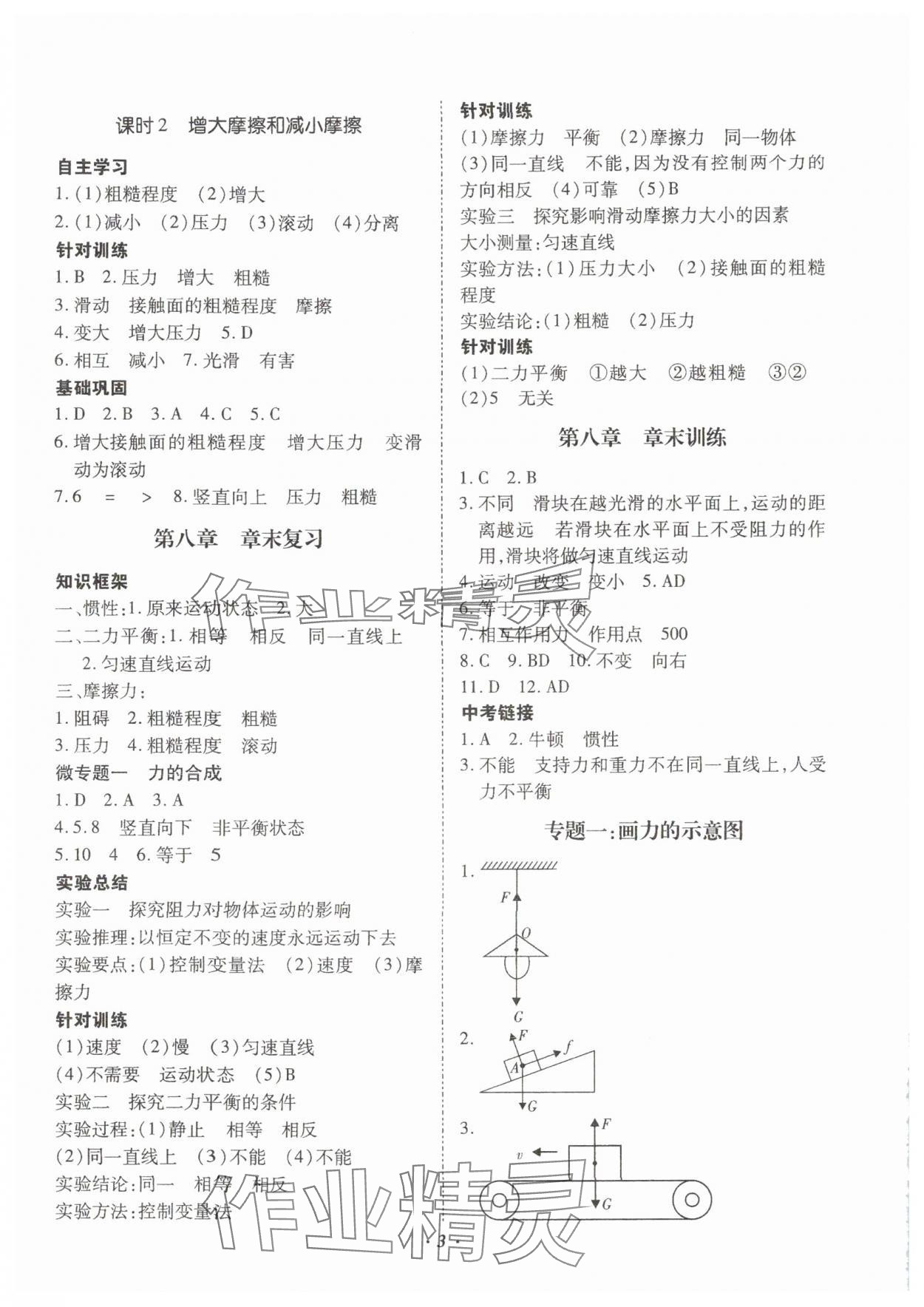 2024年本土攻略八年级物理下册人教版 参考答案第3页