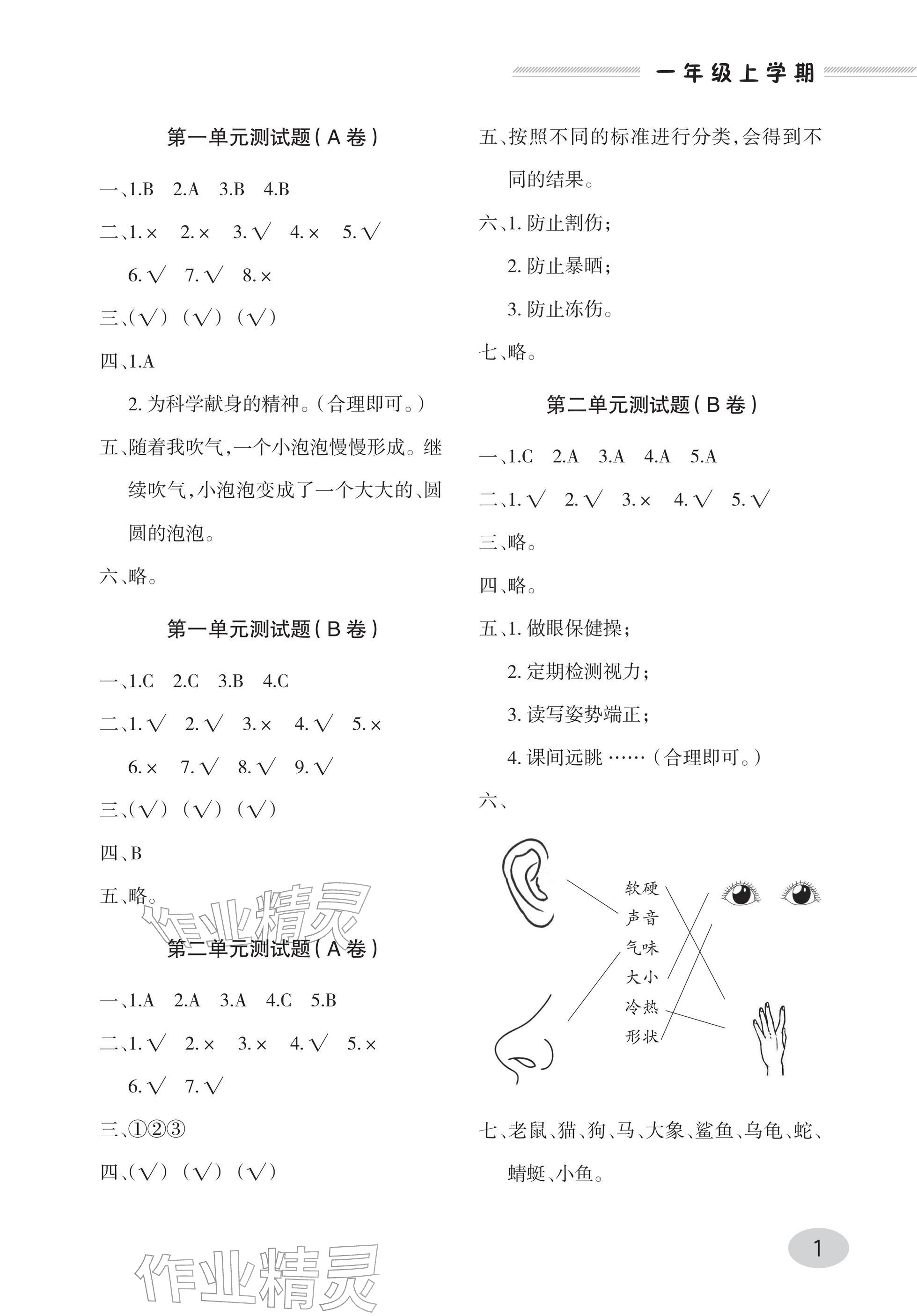 2025年单元自测试卷青岛出版社一年级科学上册青岛版 参考答案第1页