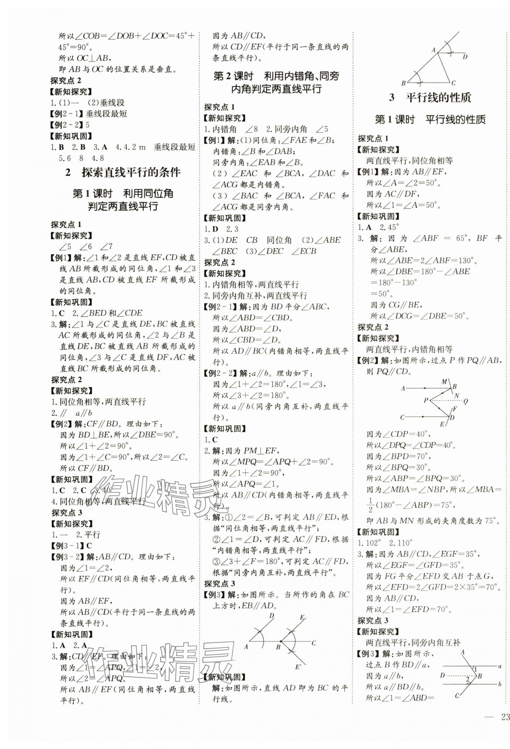 2025年初中同步学习导与练导学探究案七年级数学下册北师大版 第5页