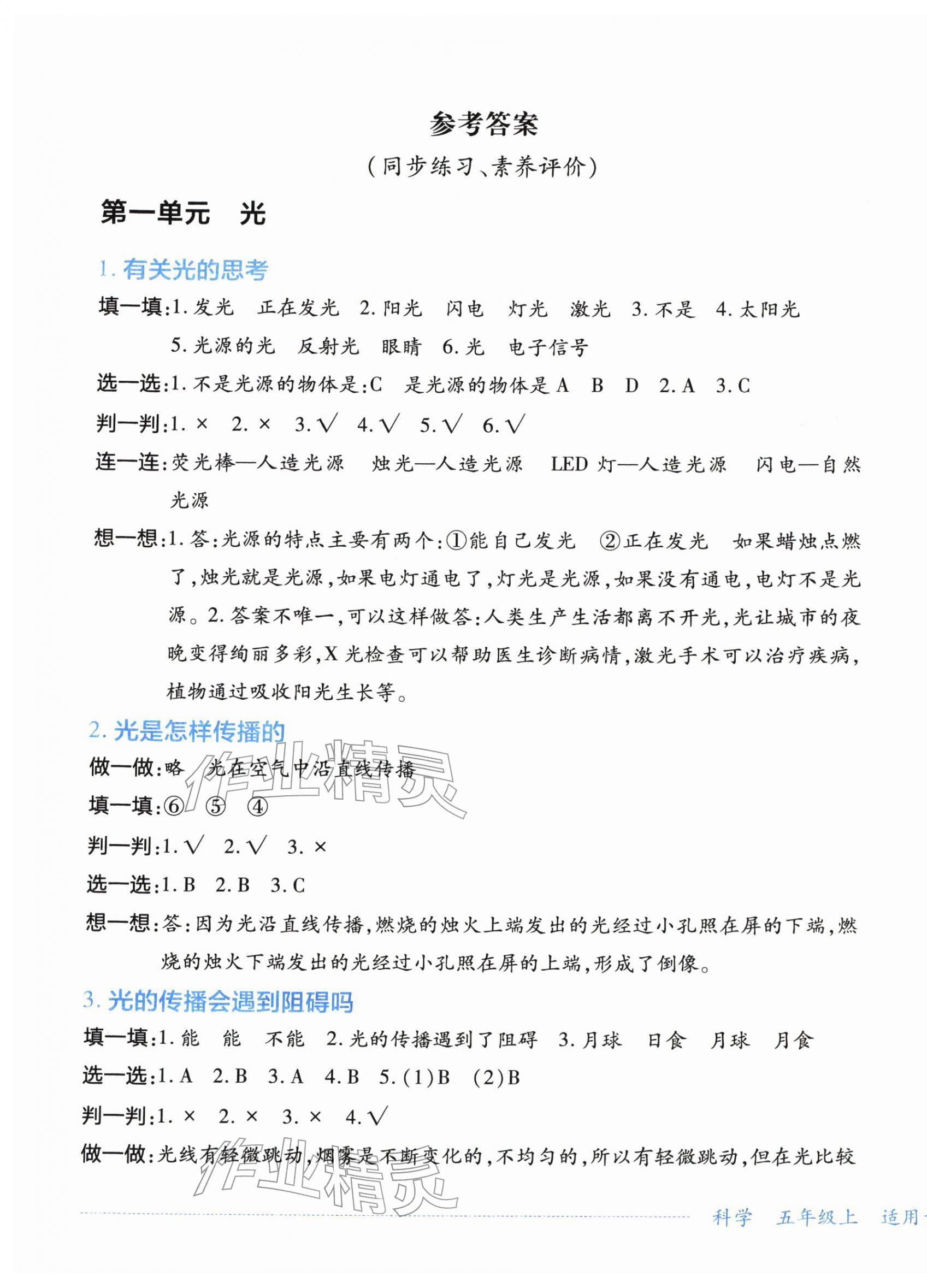 2025年学习实践园地五年级科学上册教科版 第1页