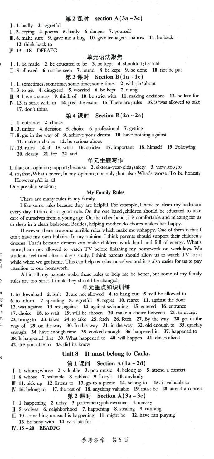 2024年名師點(diǎn)睛學(xué)練考九年級英語全一冊人教版貴州專版 第6頁