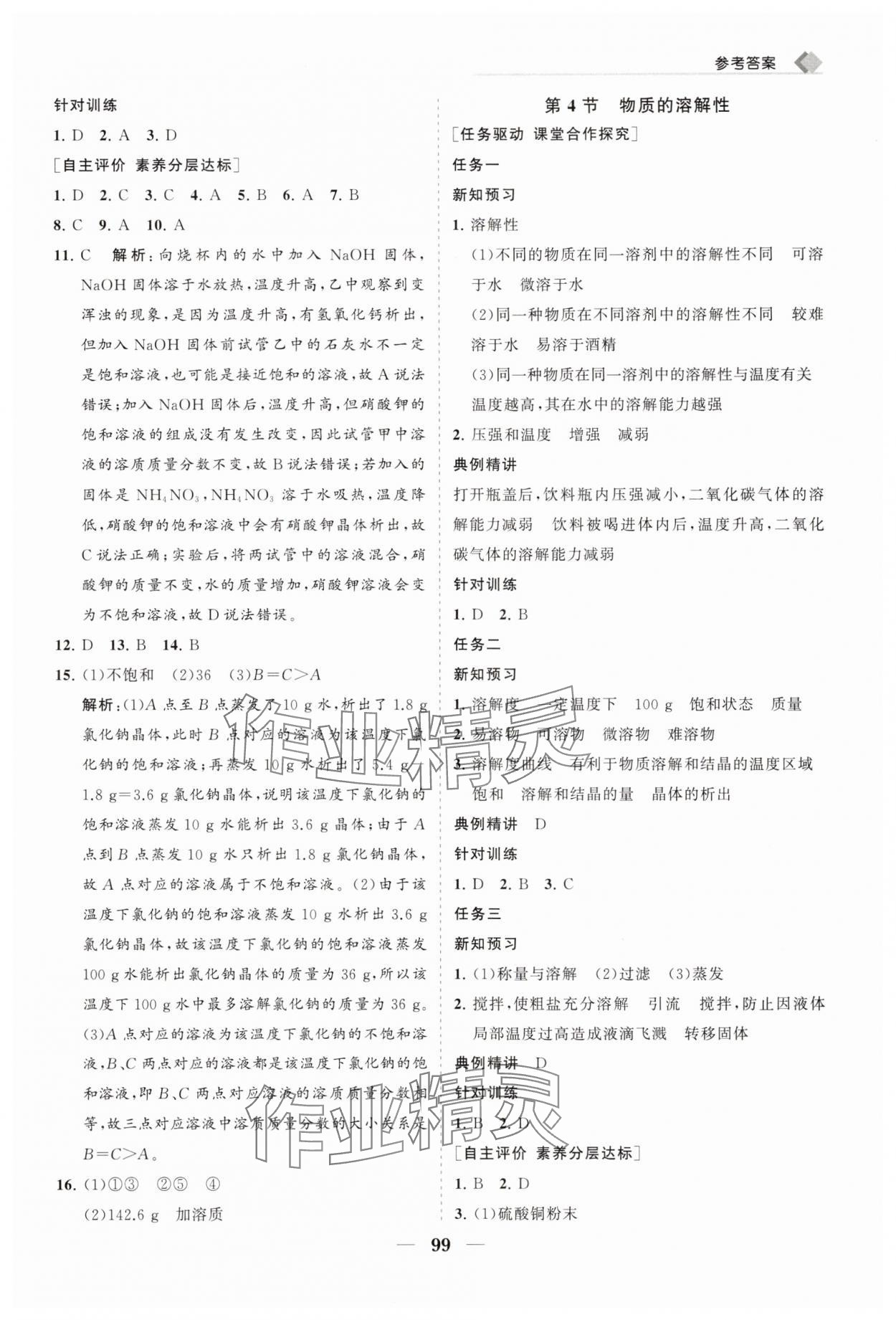 2025年新課程同步練習(xí)冊九年級化學(xué)下冊滬教版 第3頁