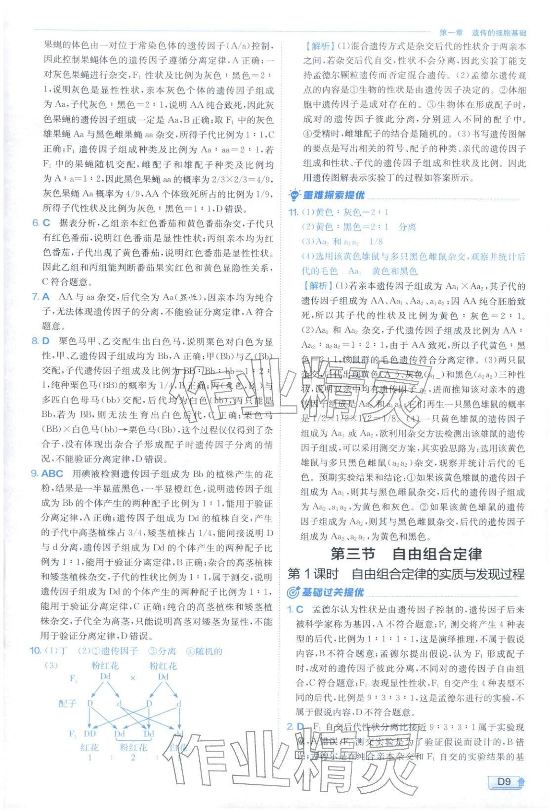 2026年實(shí)驗(yàn)班提優(yōu)訓(xùn)練高中生物必修第二冊蘇教版&nbsp;第9頁