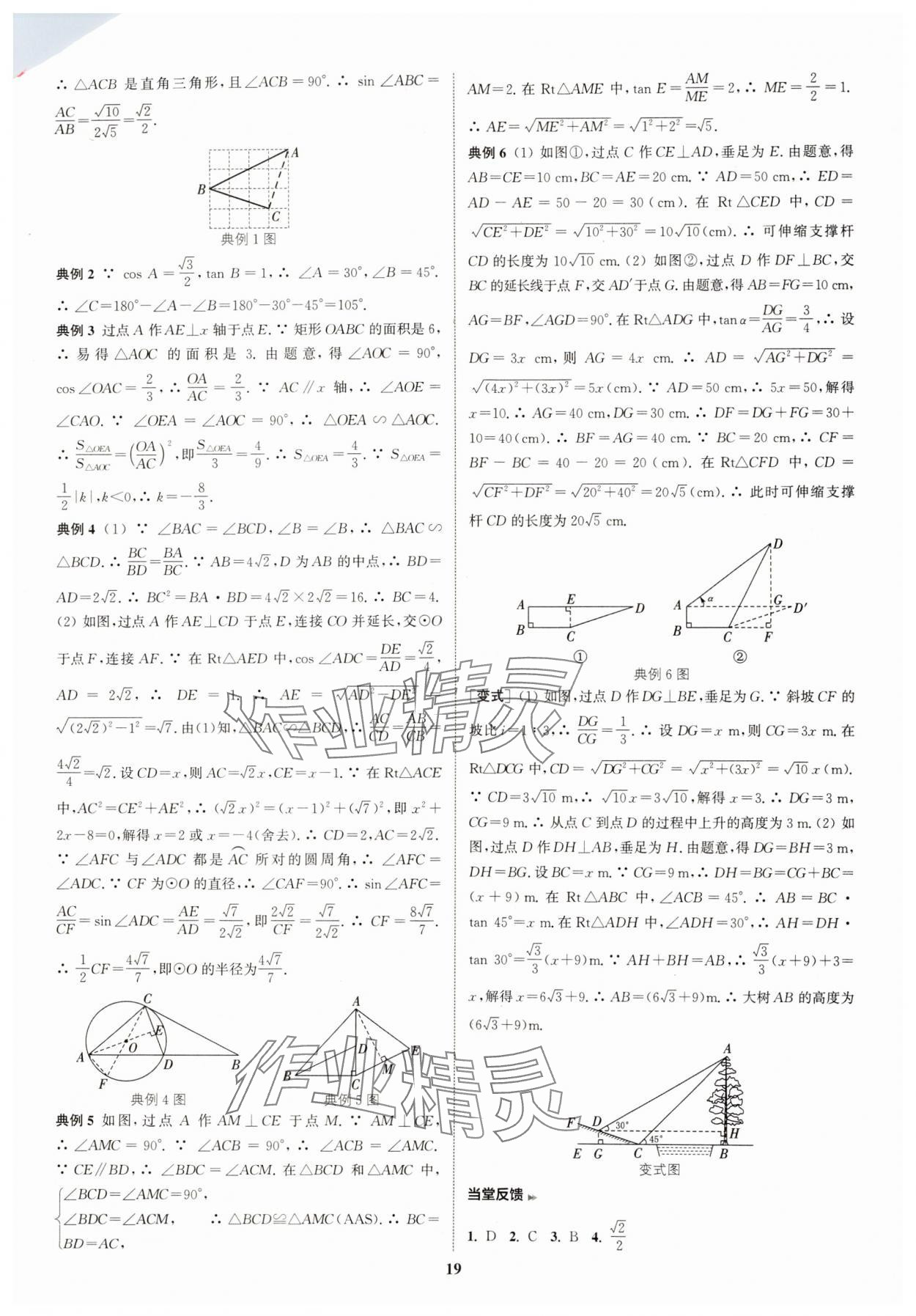 2025年通城学典通城1典中考复习方略数学江苏专用 参考答案第19页