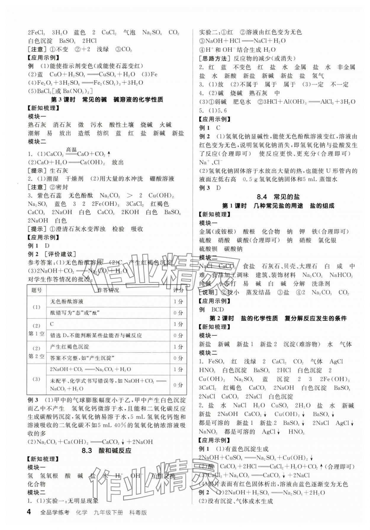 2025年全品學(xué)練考九年級(jí)化學(xué)下冊(cè)科粵版陜西專版 第4頁(yè)