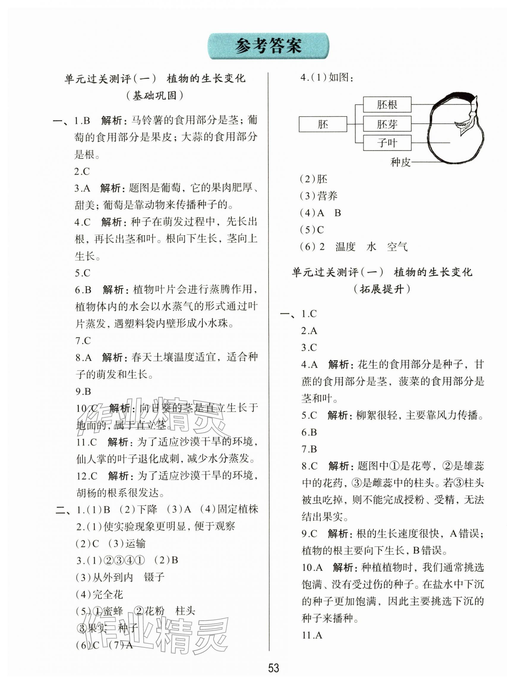 2026年知行合全程检测复习卷四年级科学下册教科版&nbsp;参考答案第1页