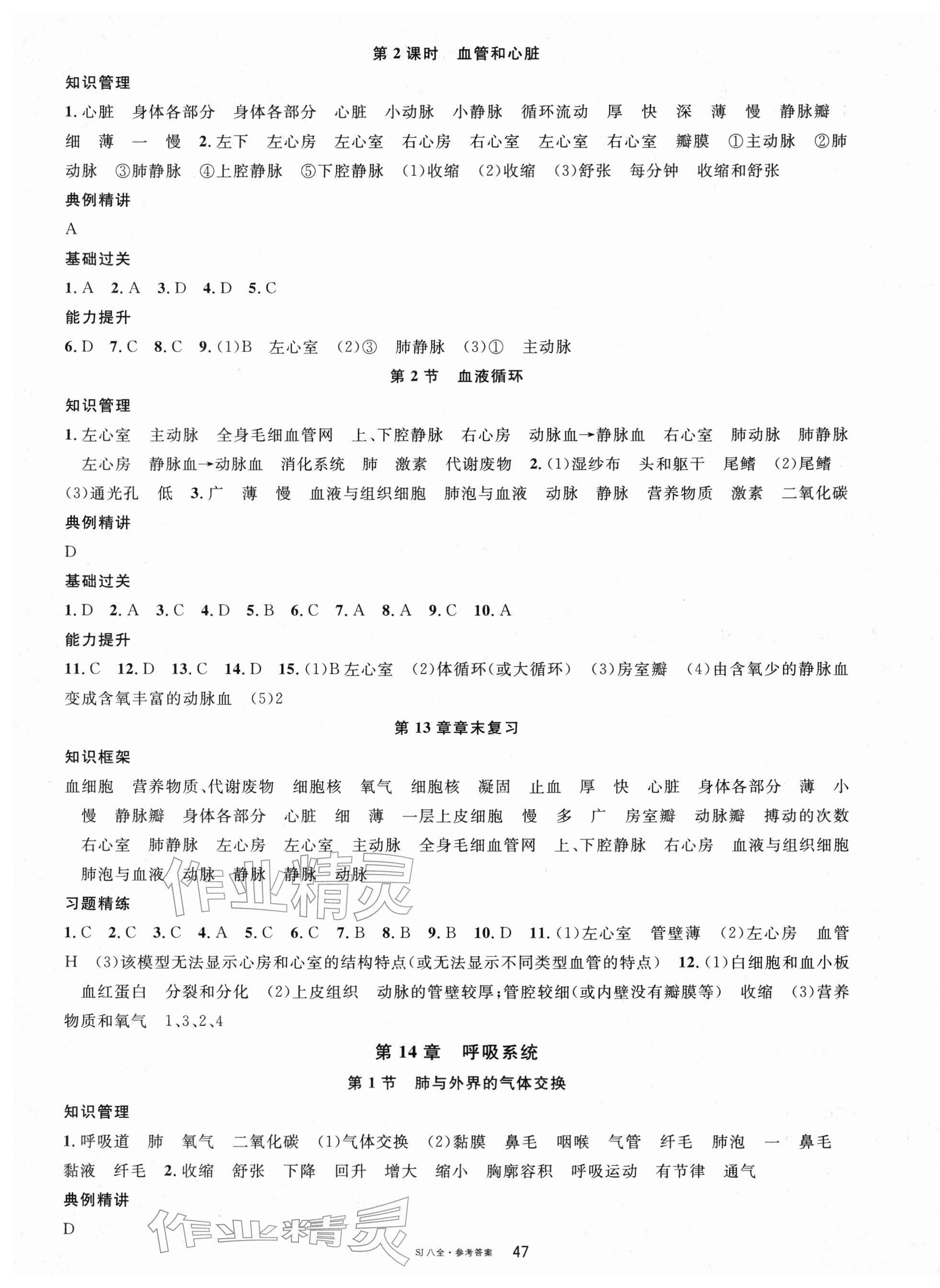 2025年名校课堂八年级生物全一册苏教版 第3页