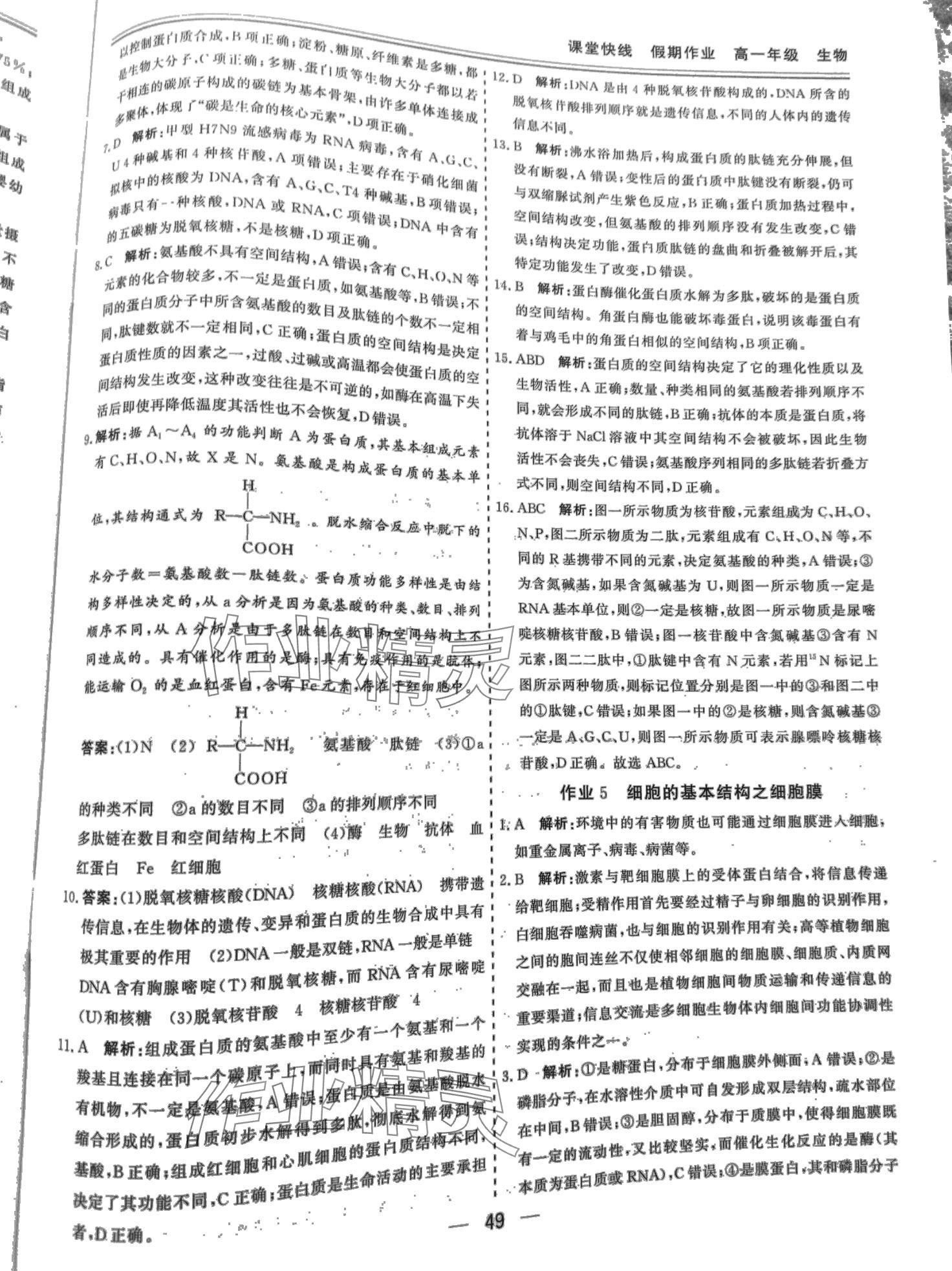 2024年课堂快线假期作业高一生物 第5页