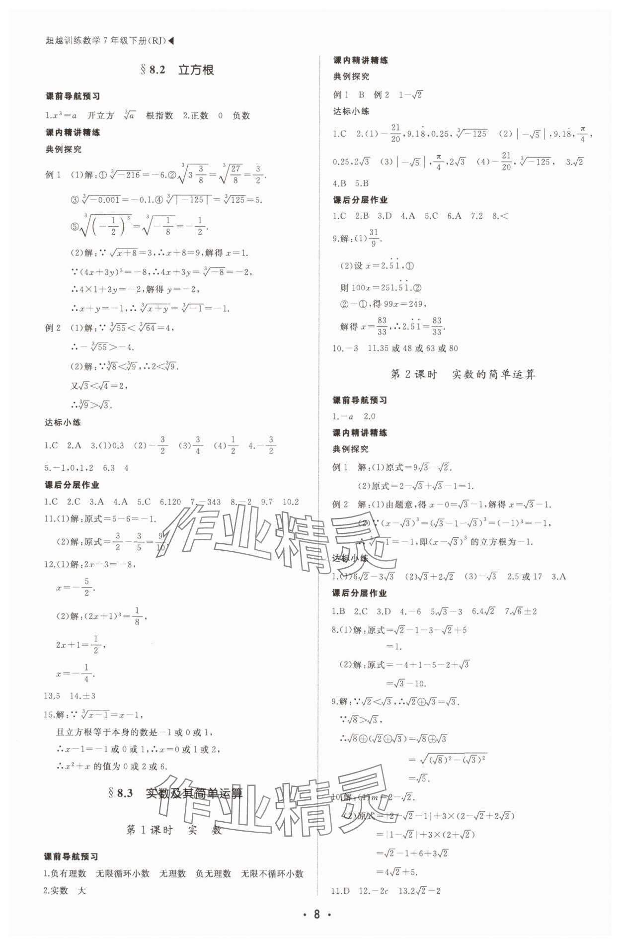 2025年超越訓(xùn)練七年級(jí)數(shù)學(xué)下冊(cè)人教版四川專版 第8頁(yè)