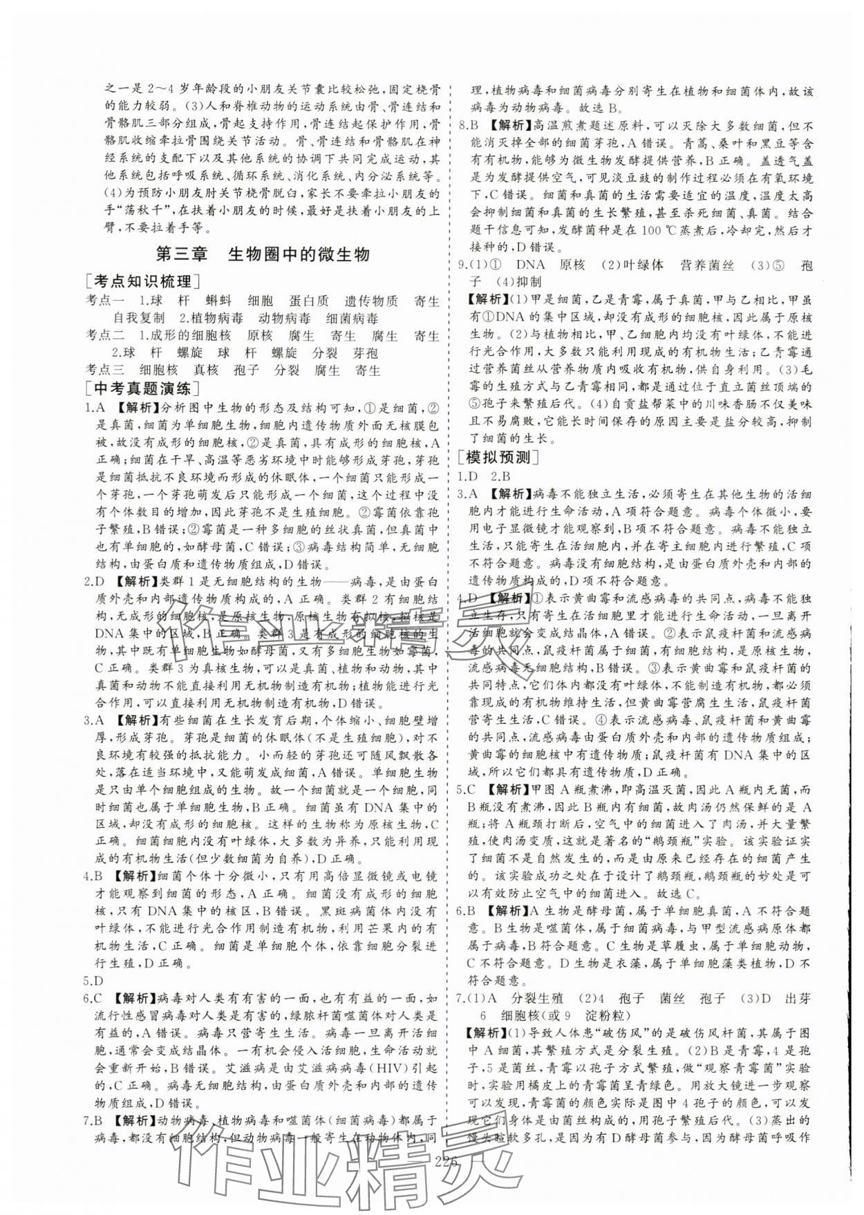 2024年新中考集訓(xùn)中考總復(fù)習(xí)生物濟南版 參考答案第11頁