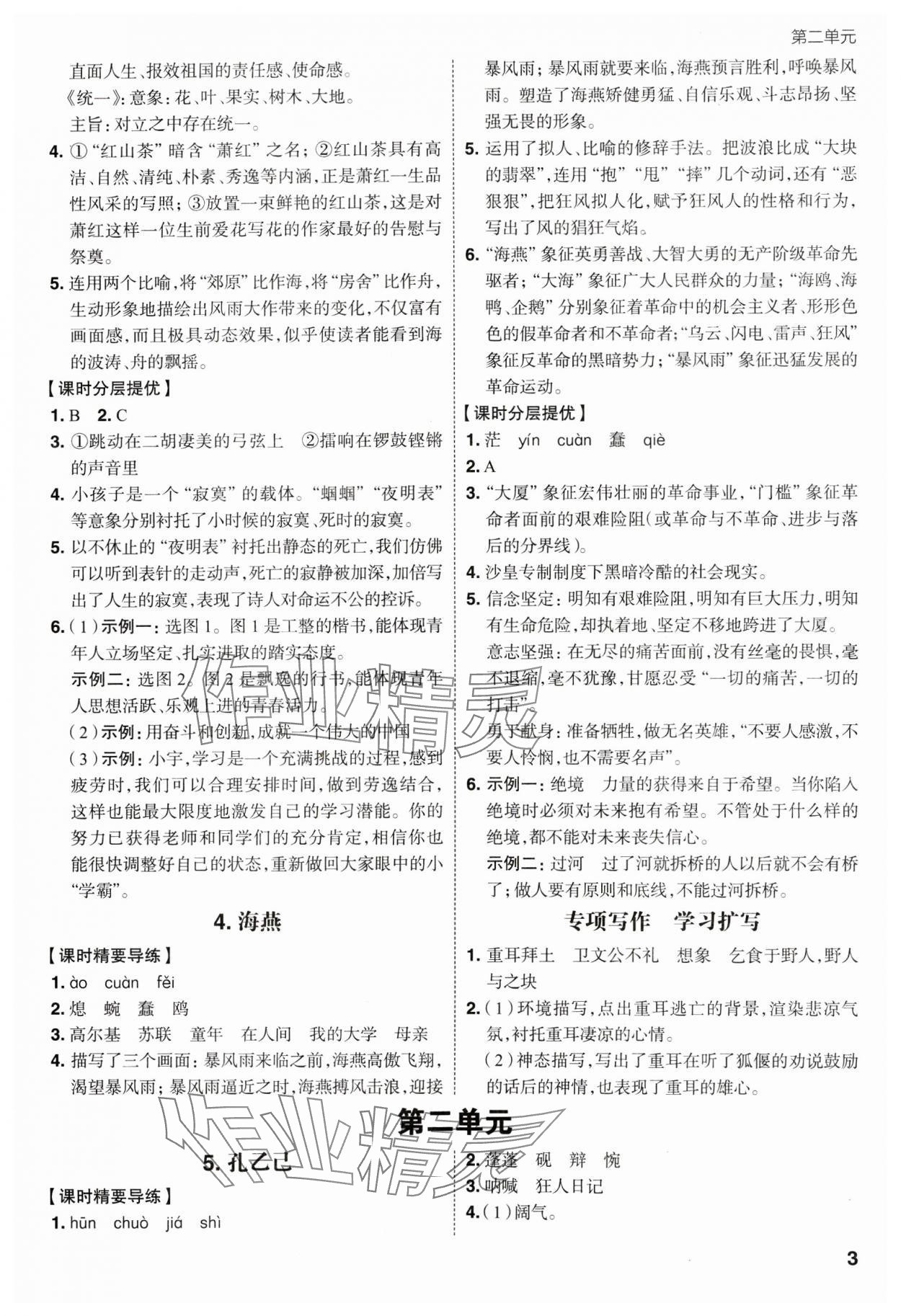 2025年考出好成绩九年级语文下册人教版山东专版 参考答案第2页