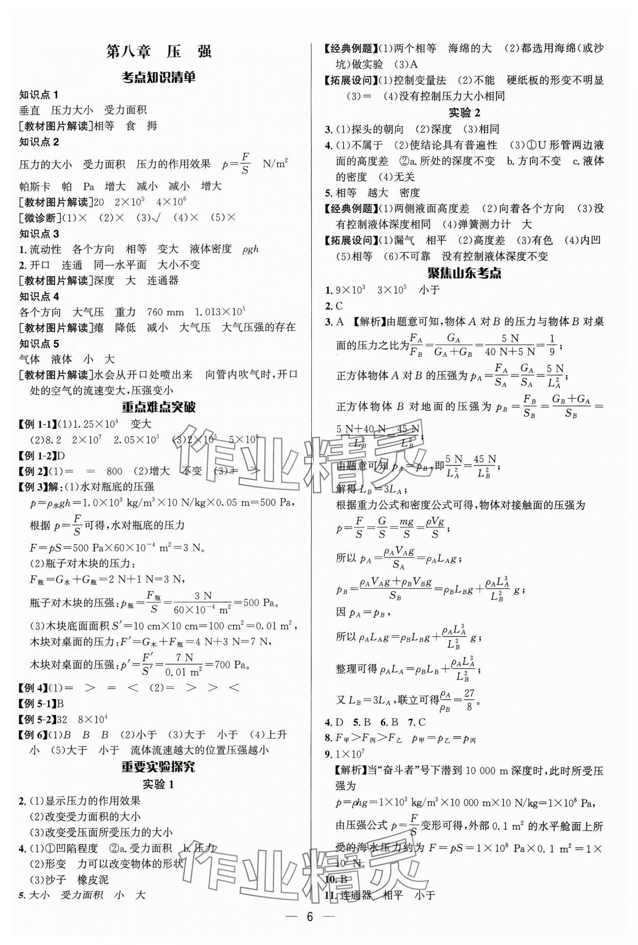 2024年中考对策物理沪科版&nbsp;参考答案第6页