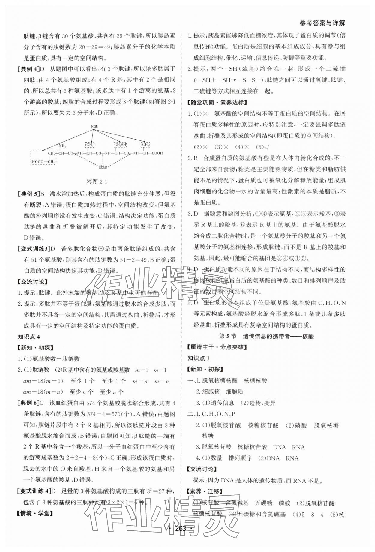 2024年系統(tǒng)集成新課程同步導學練測高中生物必修1人教版 參考答案第5頁