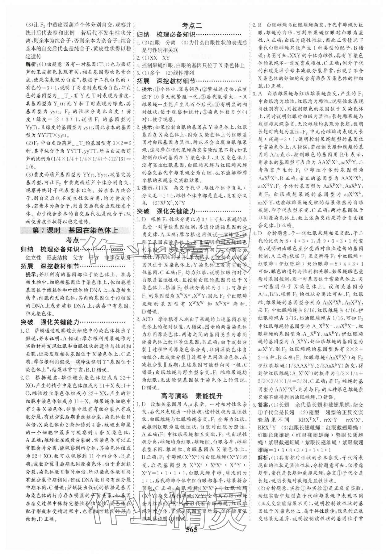 2025年優(yōu)化探究高中生物 參考答案第25頁