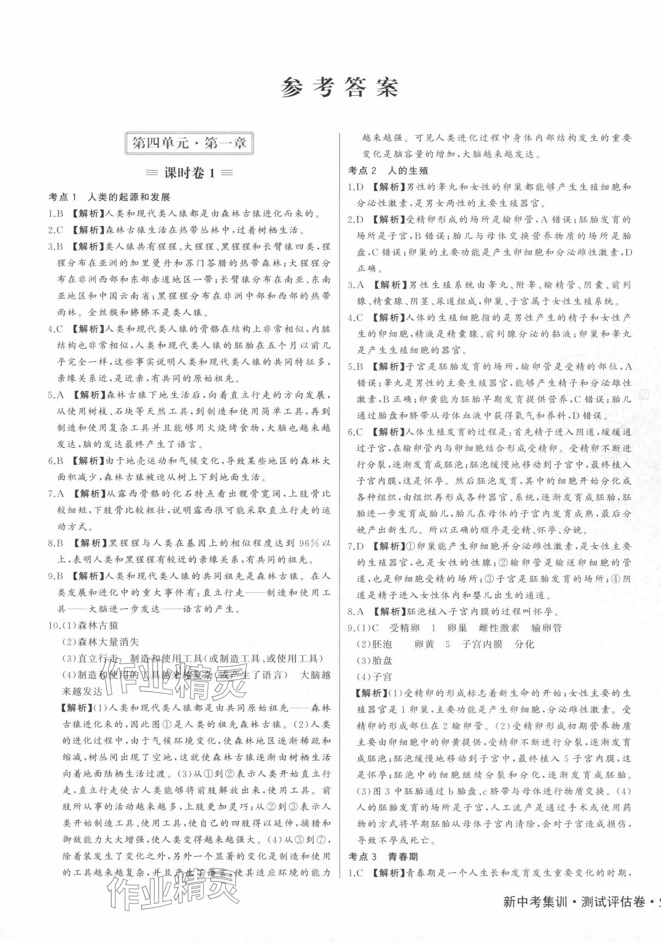 2024年新中考集訓(xùn)測試評估卷七年級生物下冊人教版 第1頁