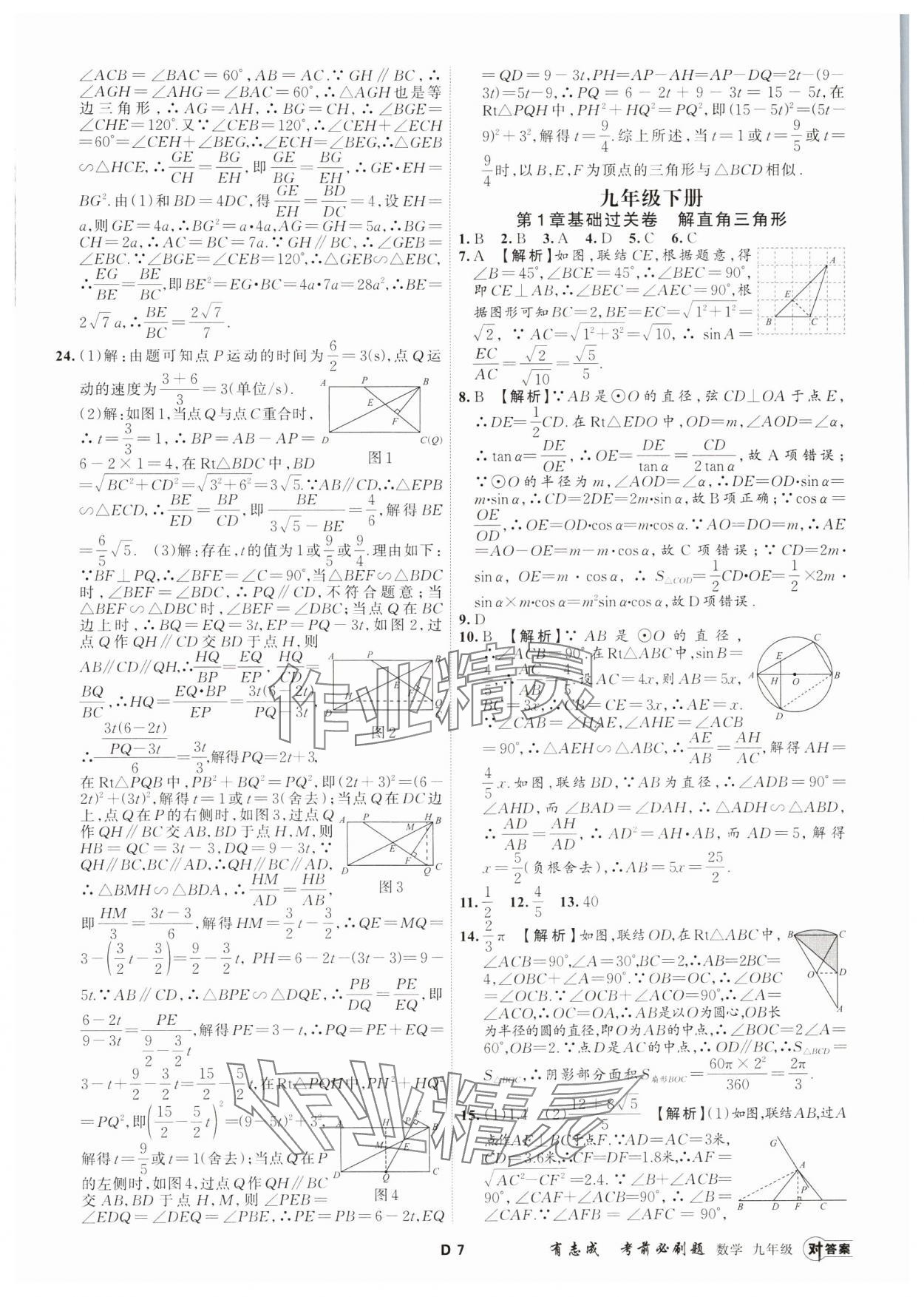 2023年有志成考前必刷題九年級(jí)數(shù)學(xué)全一冊(cè)浙教版 參考答案第6頁