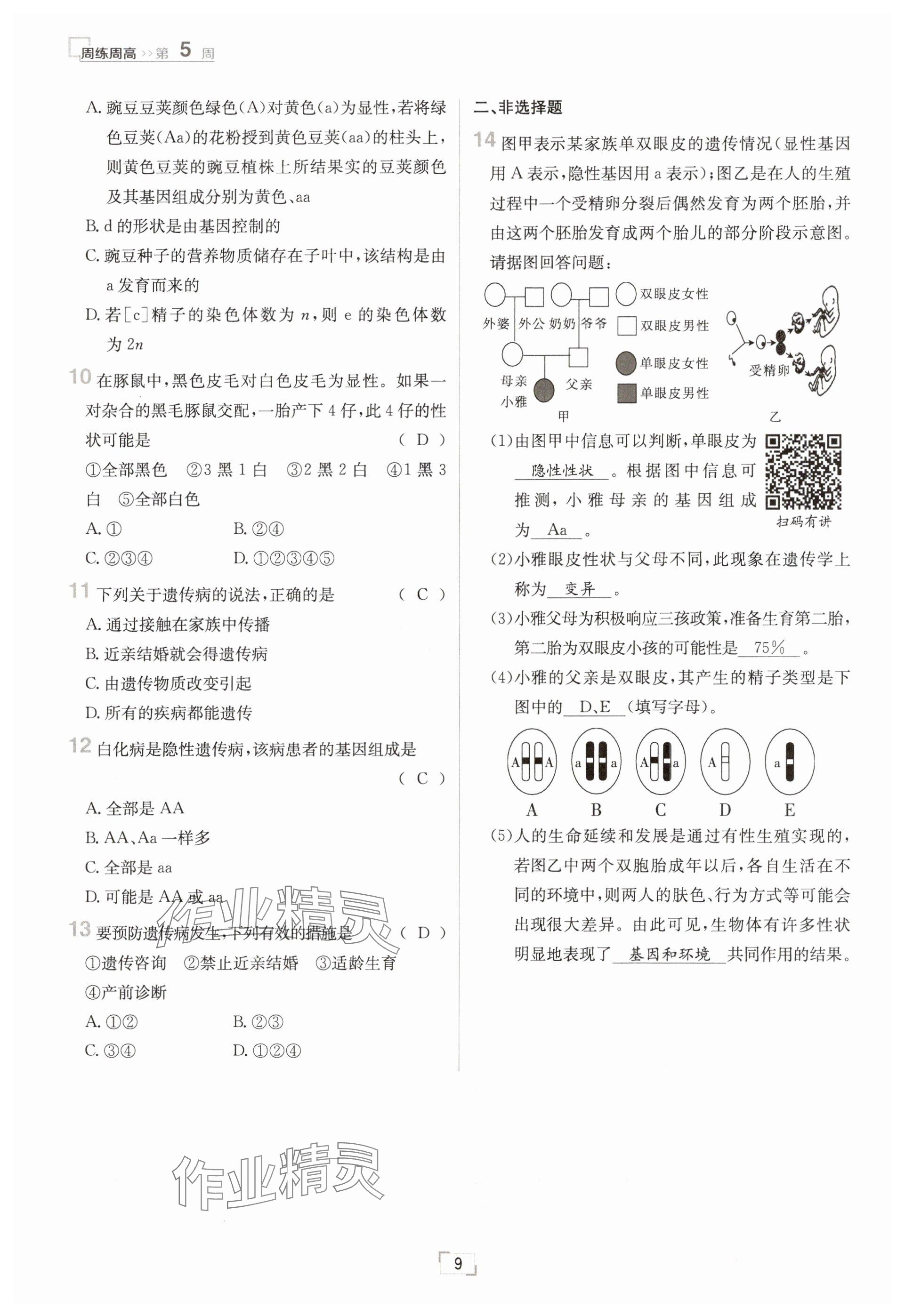 2025年日清周练八年级生物下册人教版&nbsp;参考答案第9页