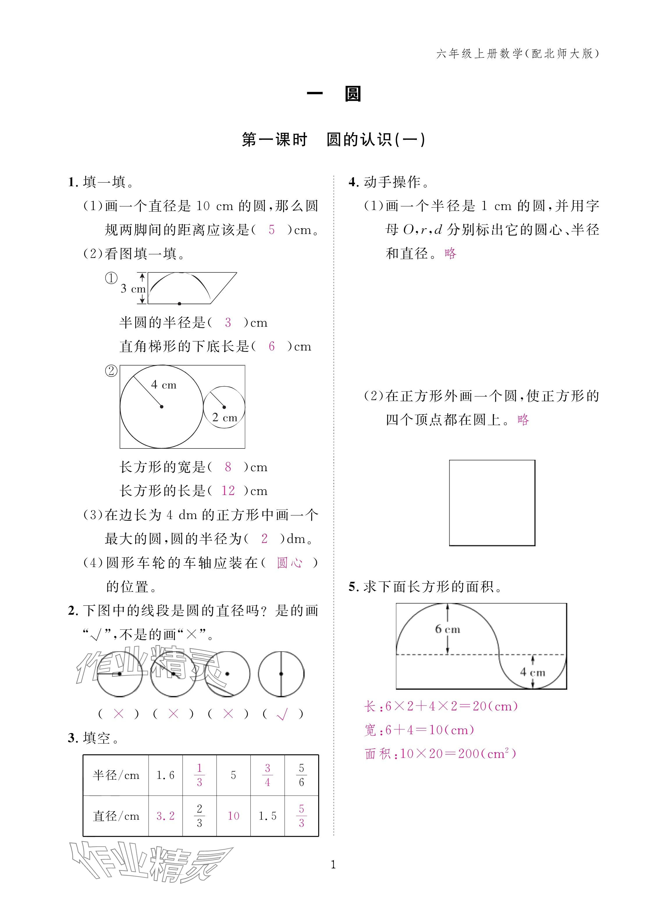 2024年作業(yè)本江西教育出版社六年級數(shù)學(xué)上冊北師大版 第1頁