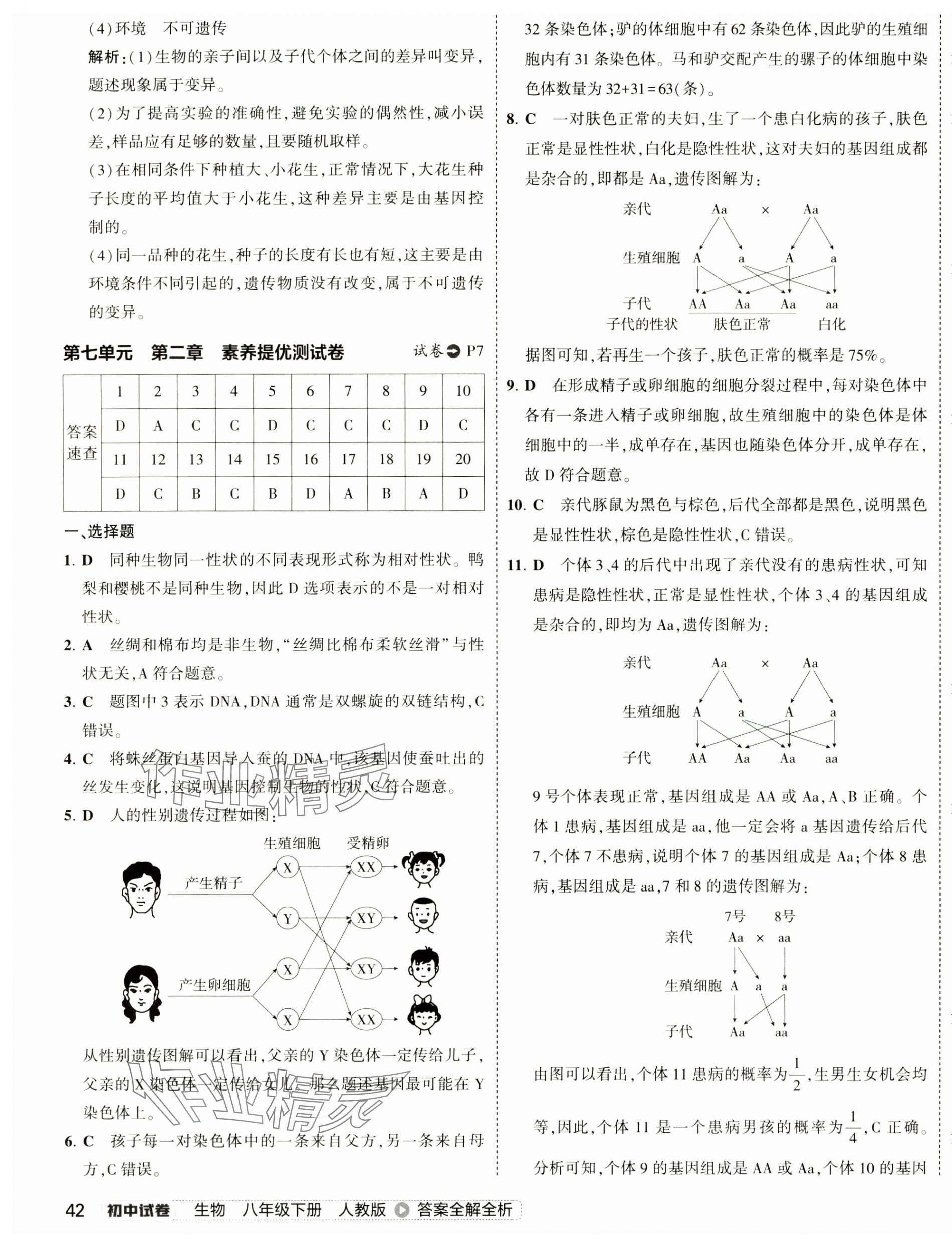 2025年5年中考3年模擬初中試卷八年級生物下冊人教版 第7頁