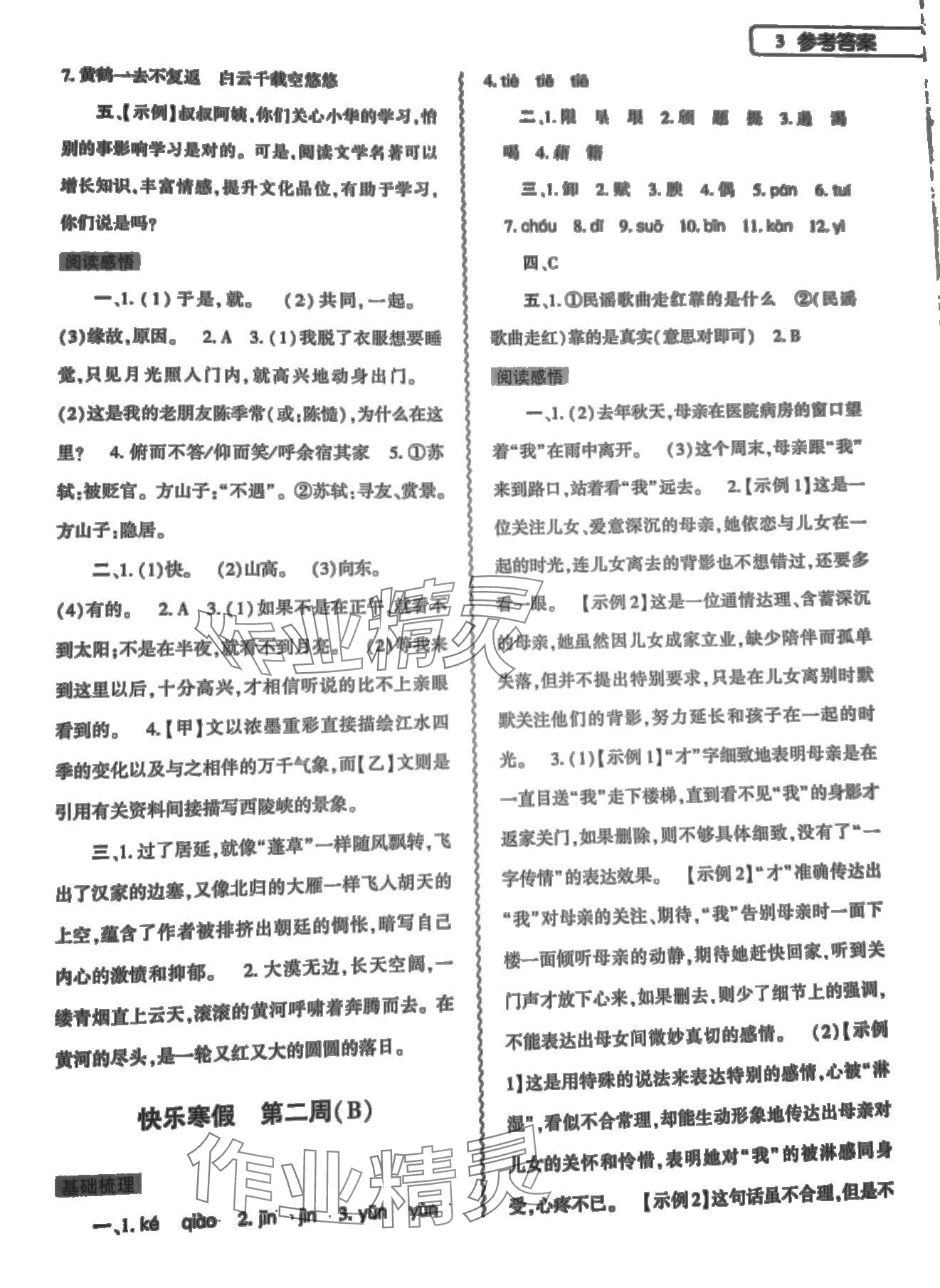 2024年寒假作业本大象出版社八年级语文道德与法治历史 第3页