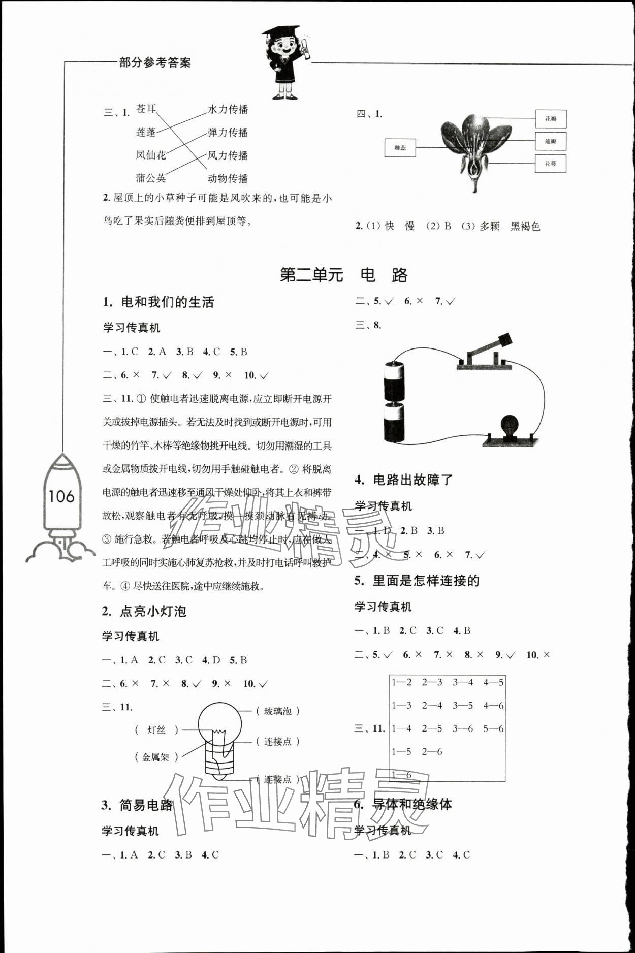2024年小学科学习作四年级下册教科版 第2页