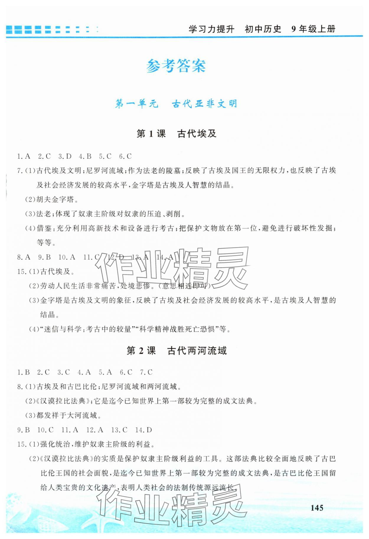 2025年学习力提升九年级历史上册人教版 第1页