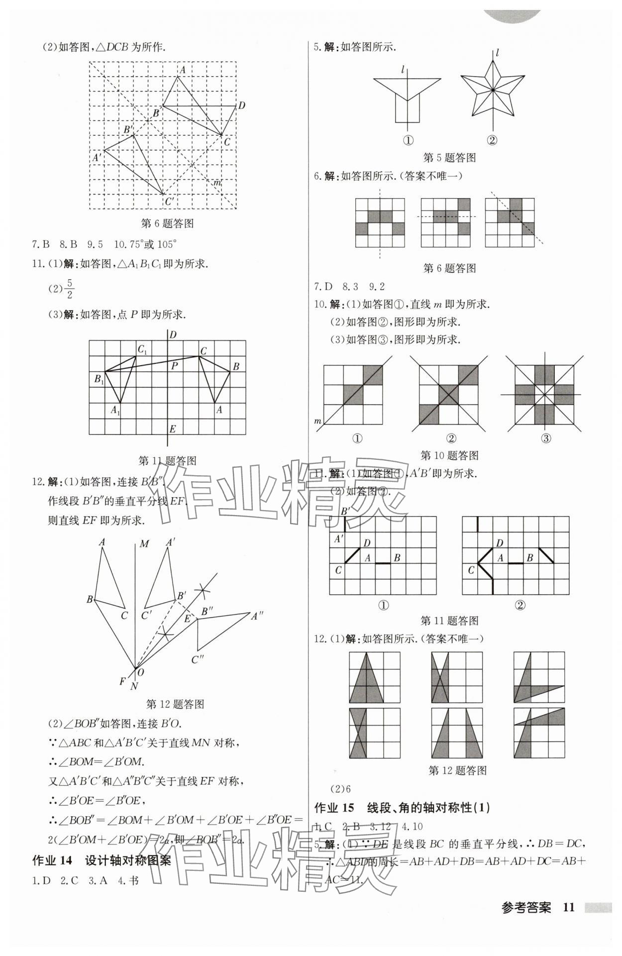 2024年启东中学作业本八年级数学上册江苏版 第11页