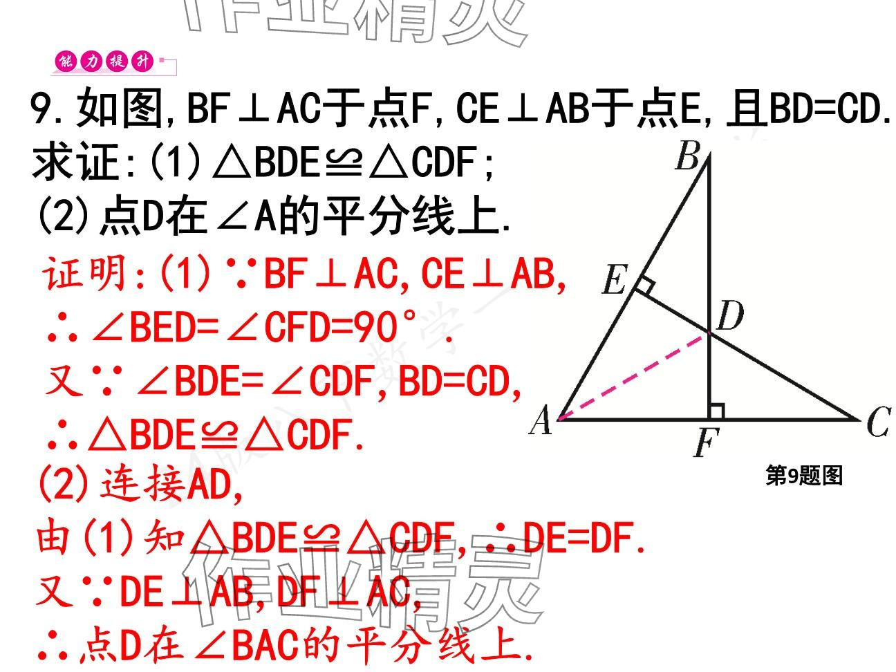 2025年一本通武漢出版社八年級(jí)數(shù)學(xué)下冊(cè)北師大版核心板 參考答案第66頁(yè)