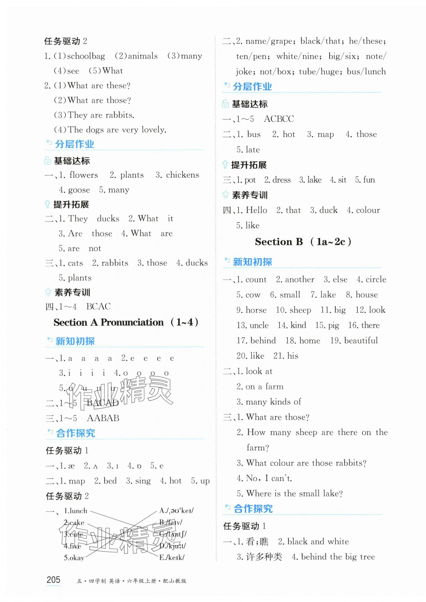 2025年资源与评价黑龙江教育出版社六年级英语上册鲁教版五四制 第7页