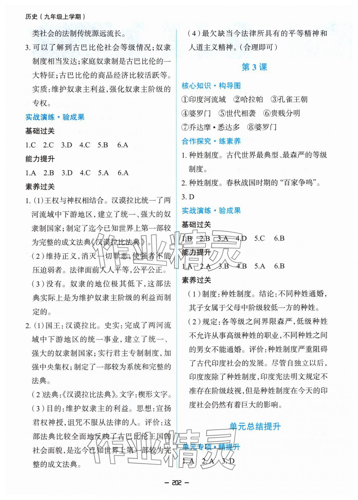 2025年新课堂同步学习与探究九年级历史全一册人教版 第2页