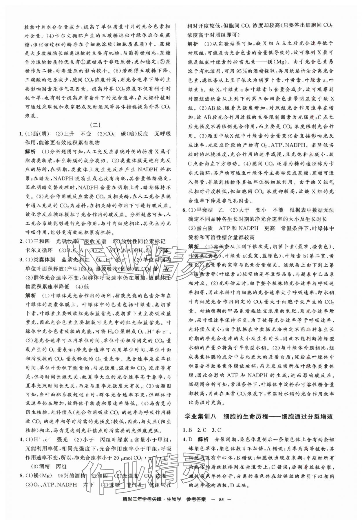 2025年精彩三年學考尖峰生物浙江專版 第9頁
