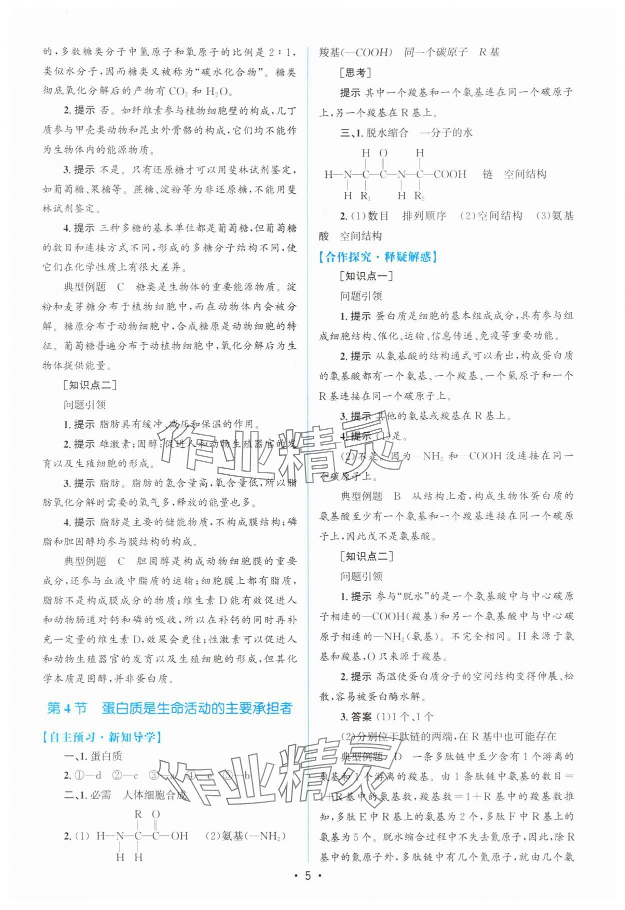 2025年高中同步测控优化设计高中生物必修1人教版 参考答案第4页