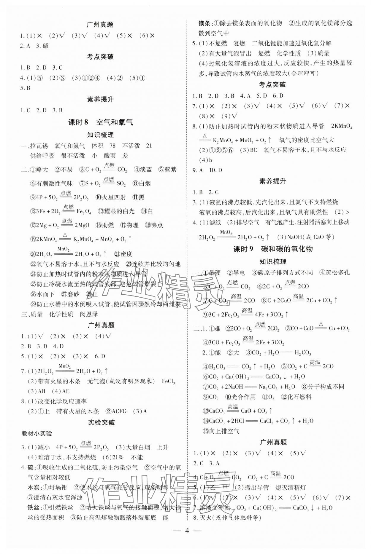 2025年領(lǐng)跑中考化學(xué)廣州專版 第4頁