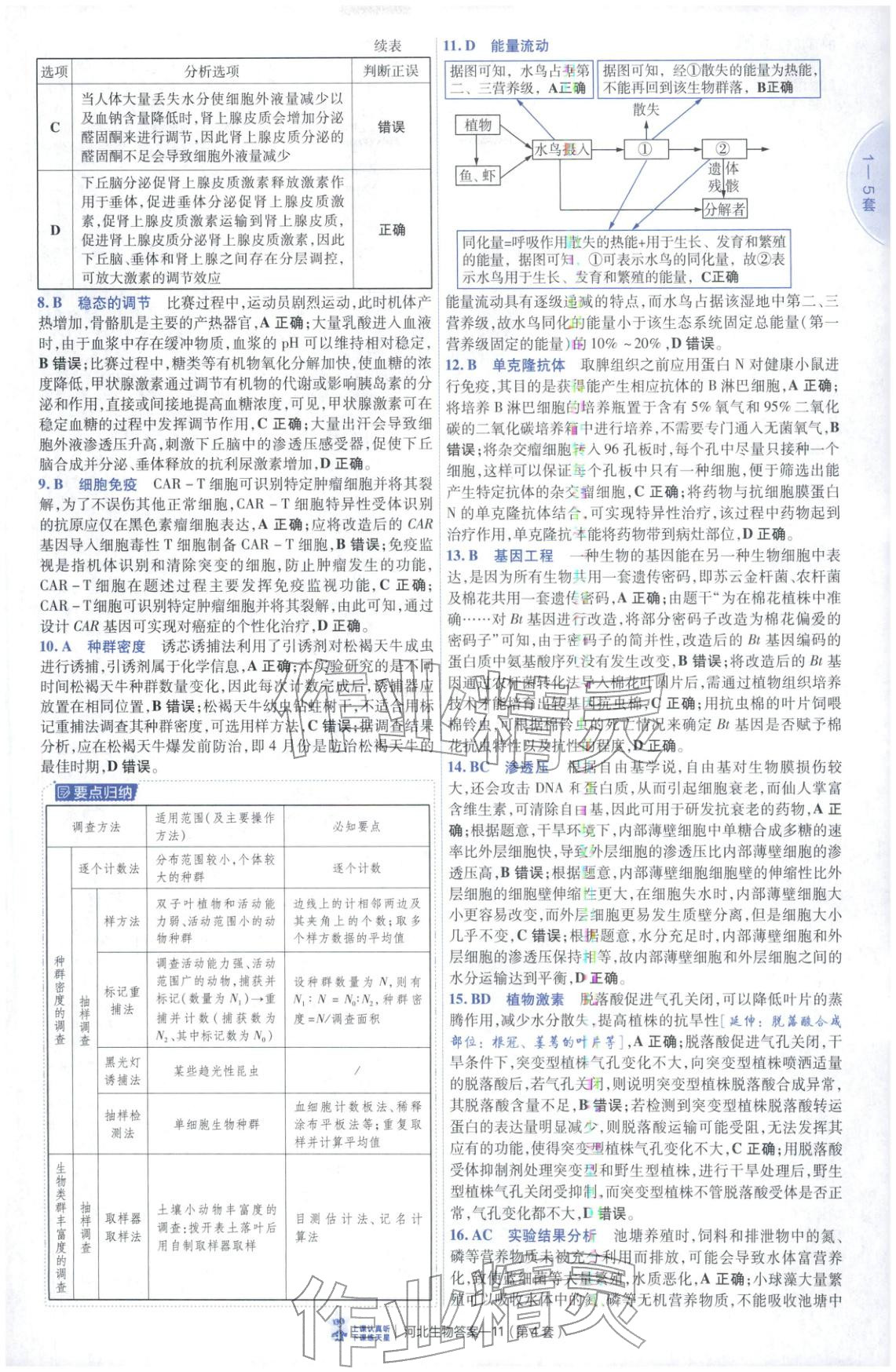 2026年金考卷優秀模擬試卷匯編45套高中生物河北專版 第11頁